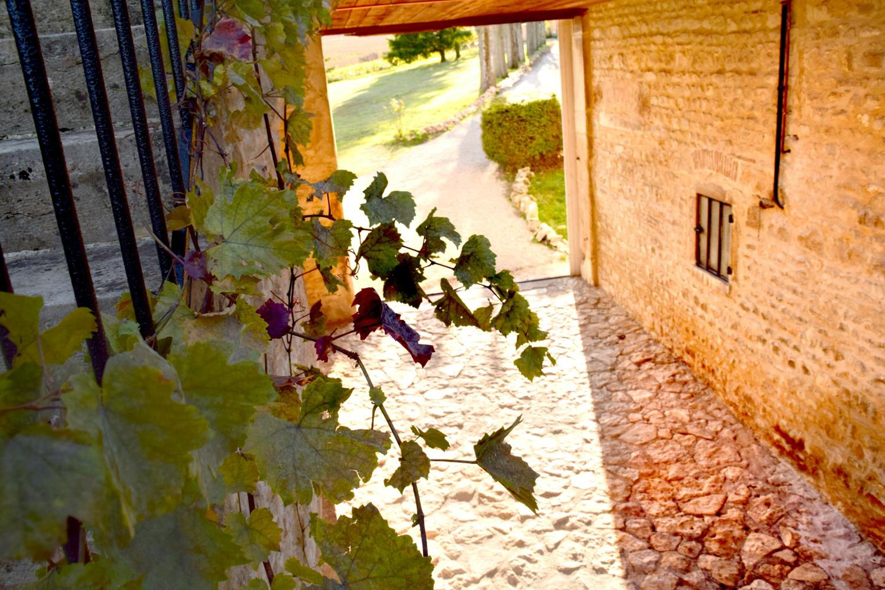 Casa Vigna, photo 23