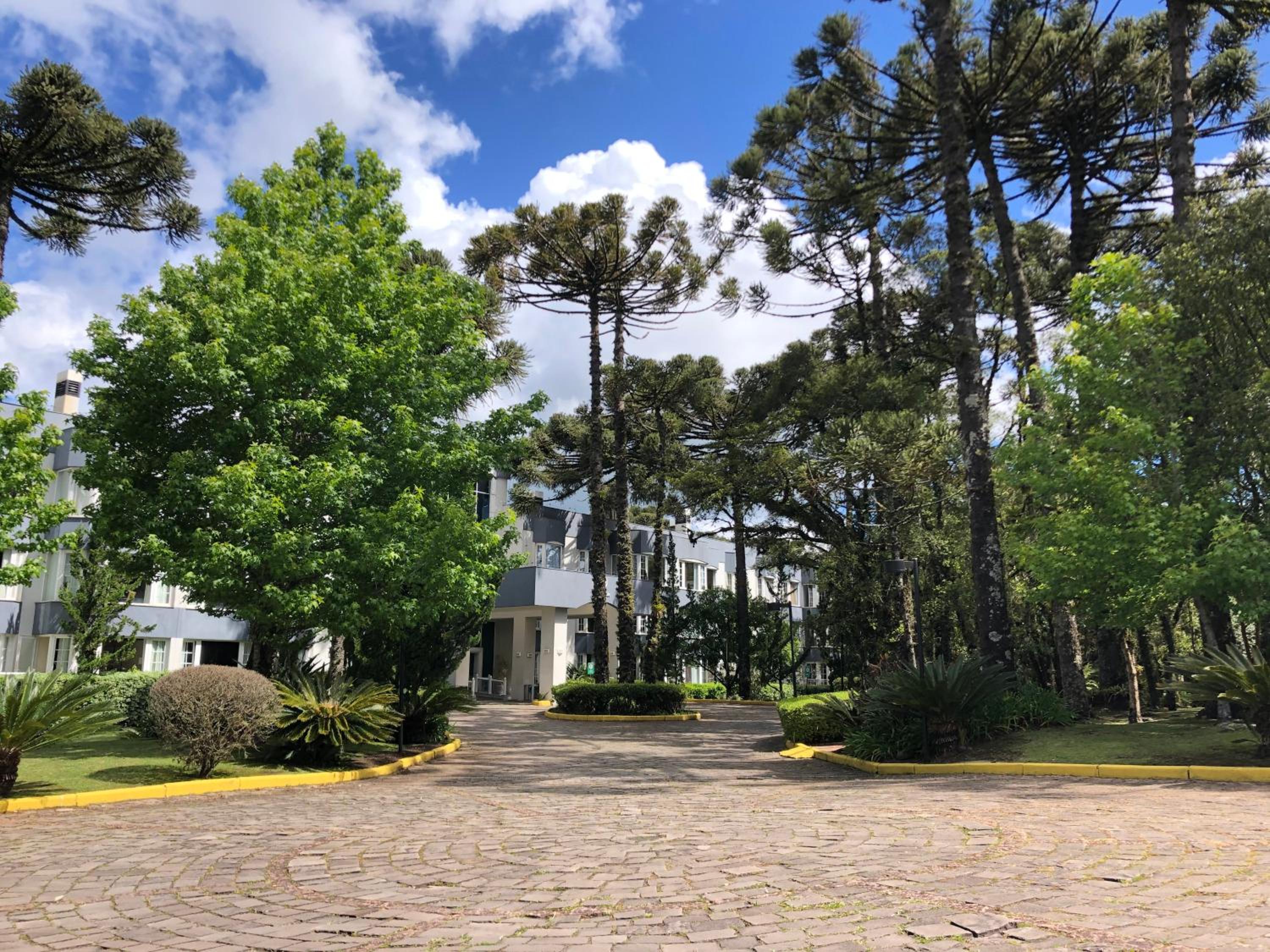 Flat Mountain Village Luxo e Conforto na Serra