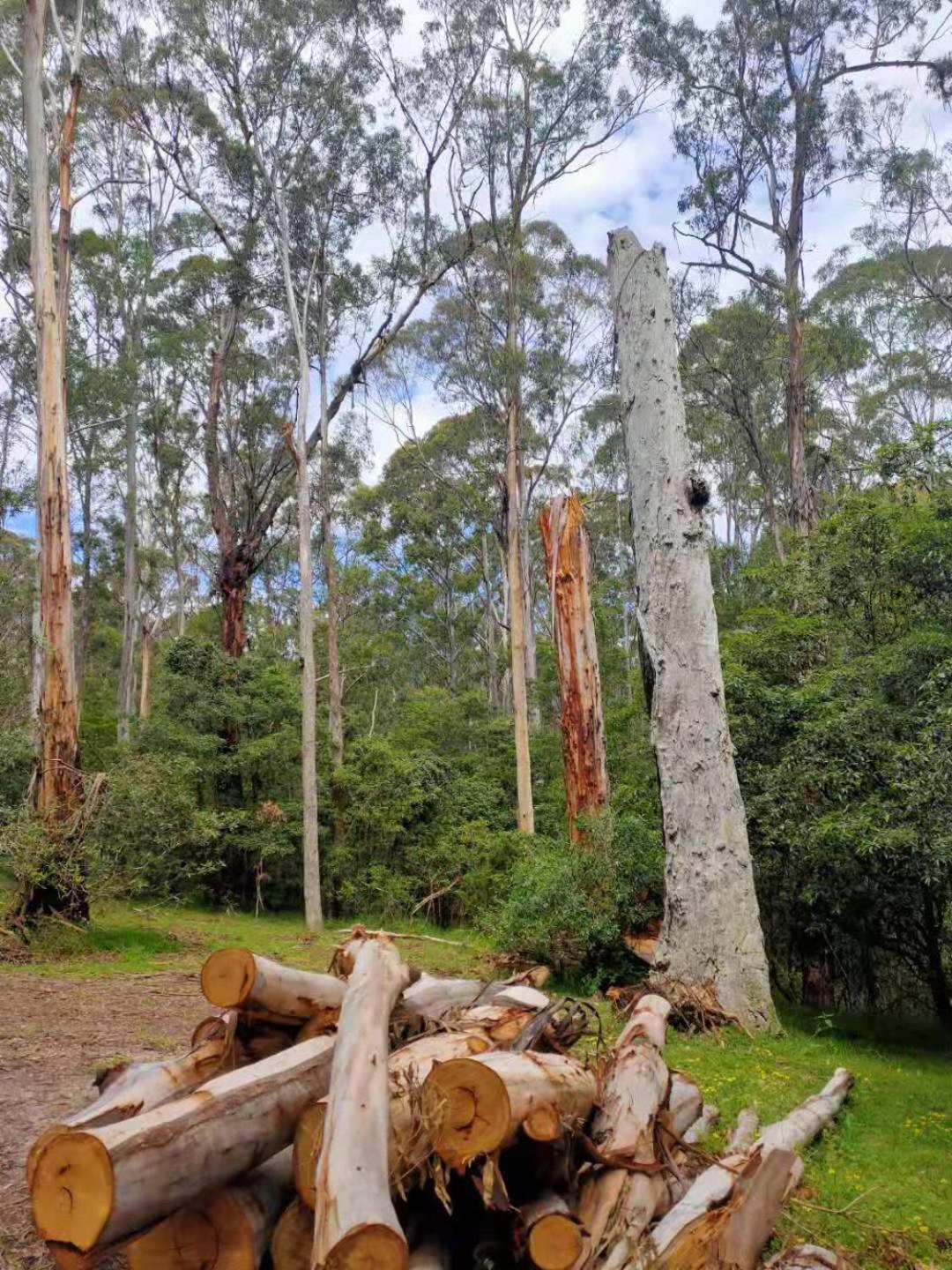Lakes Entrance Log Cabins