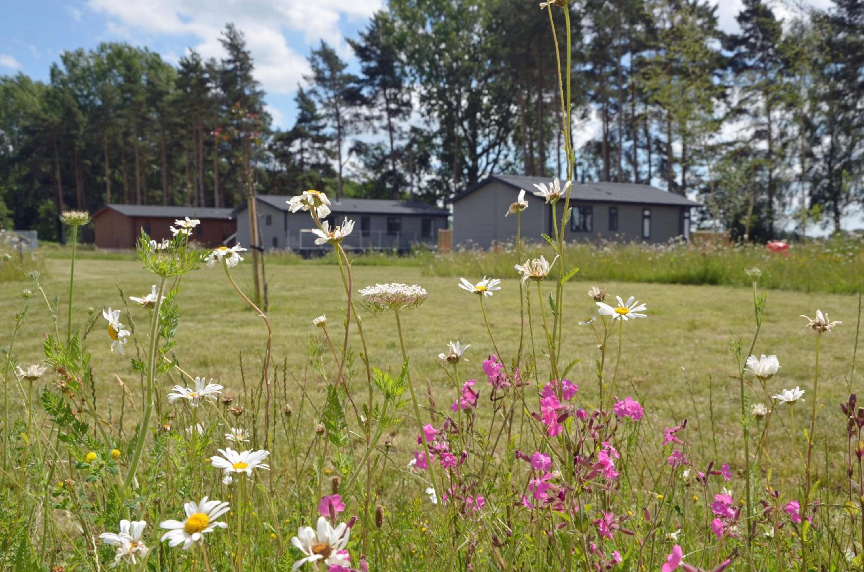 Hollicarrs - Woodland Lodge view 2