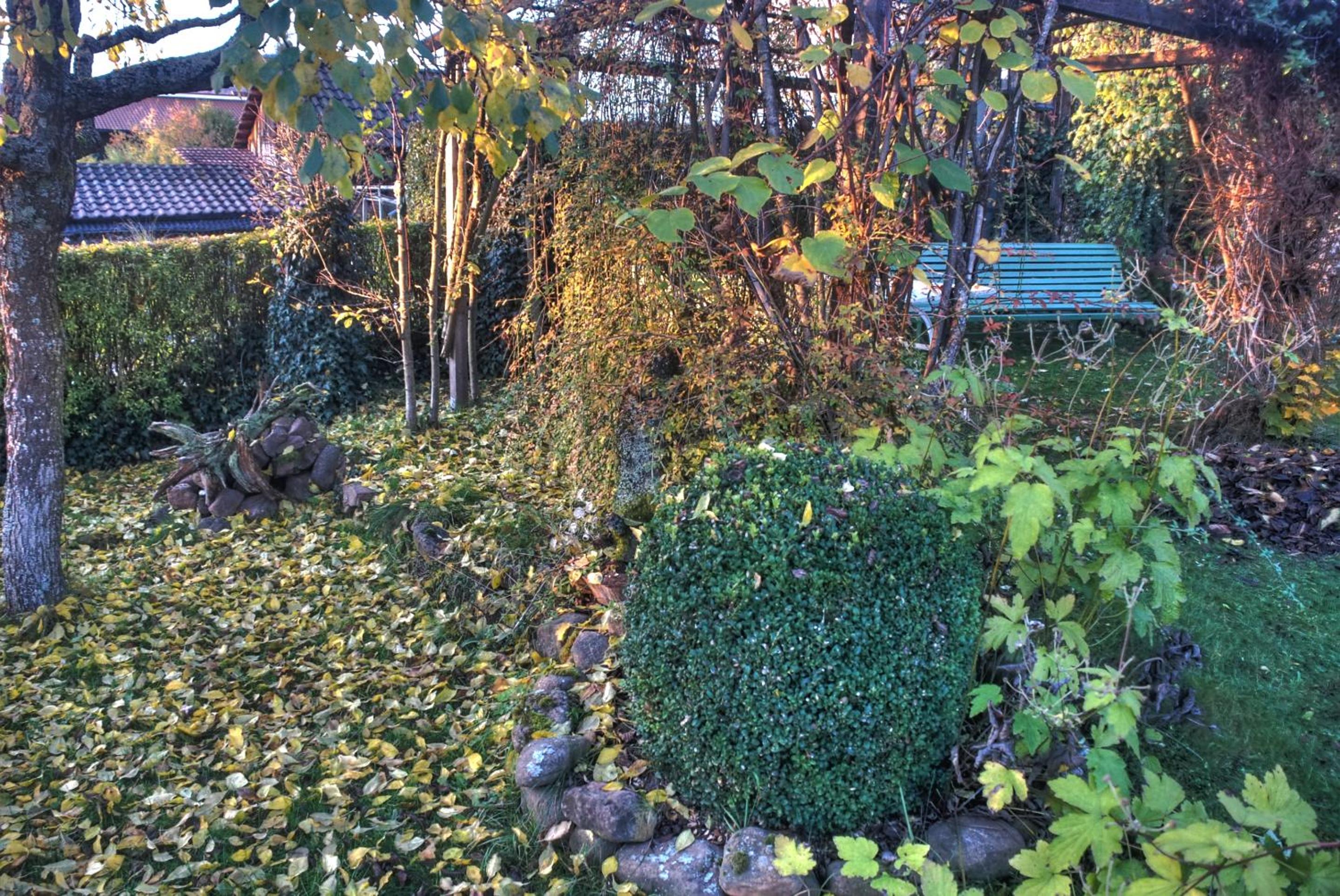 Ferienwohnung am Obstgarten - Property Image 14