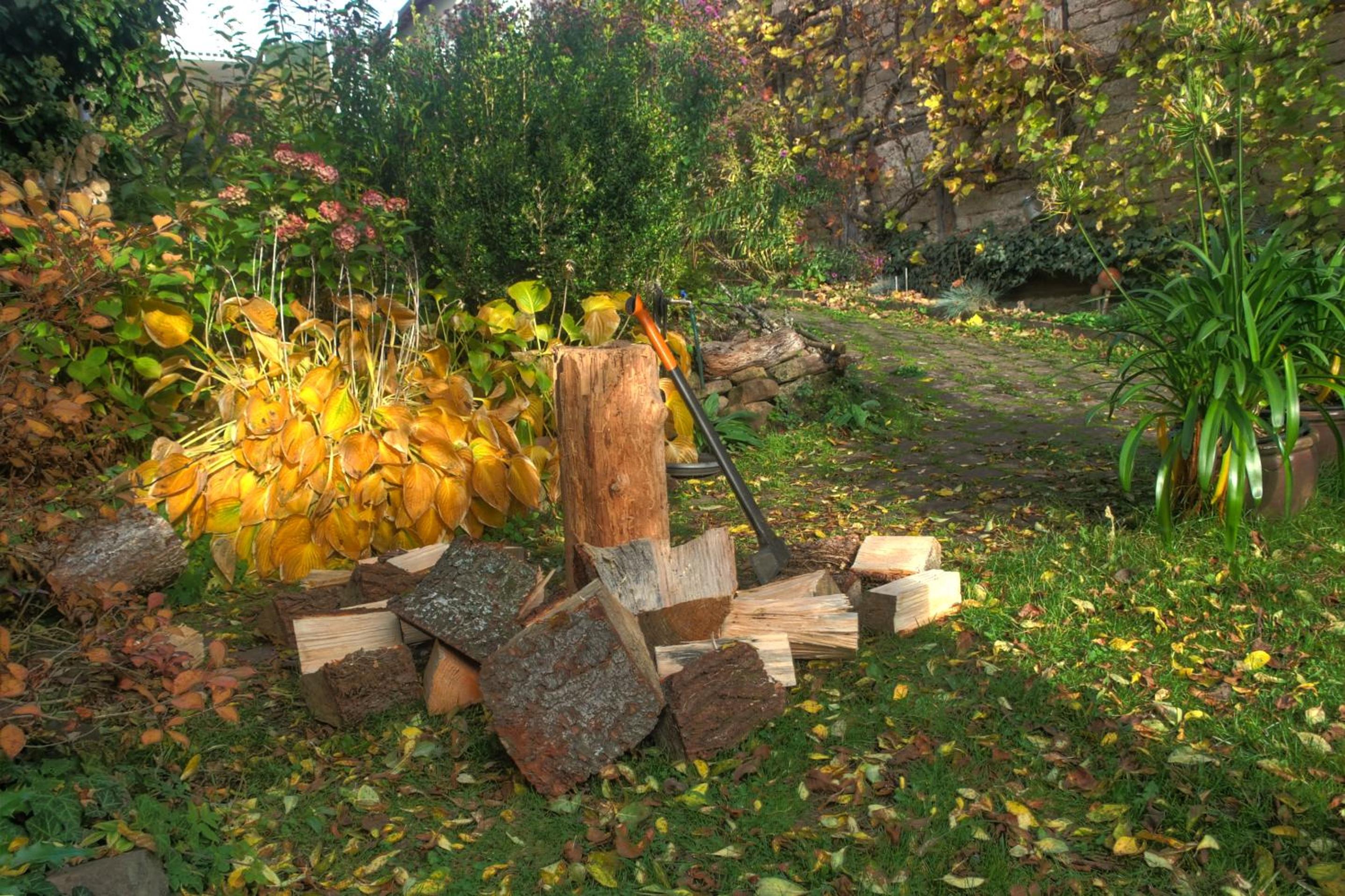 Ferienwohnung am Obstgarten - Property Image 15