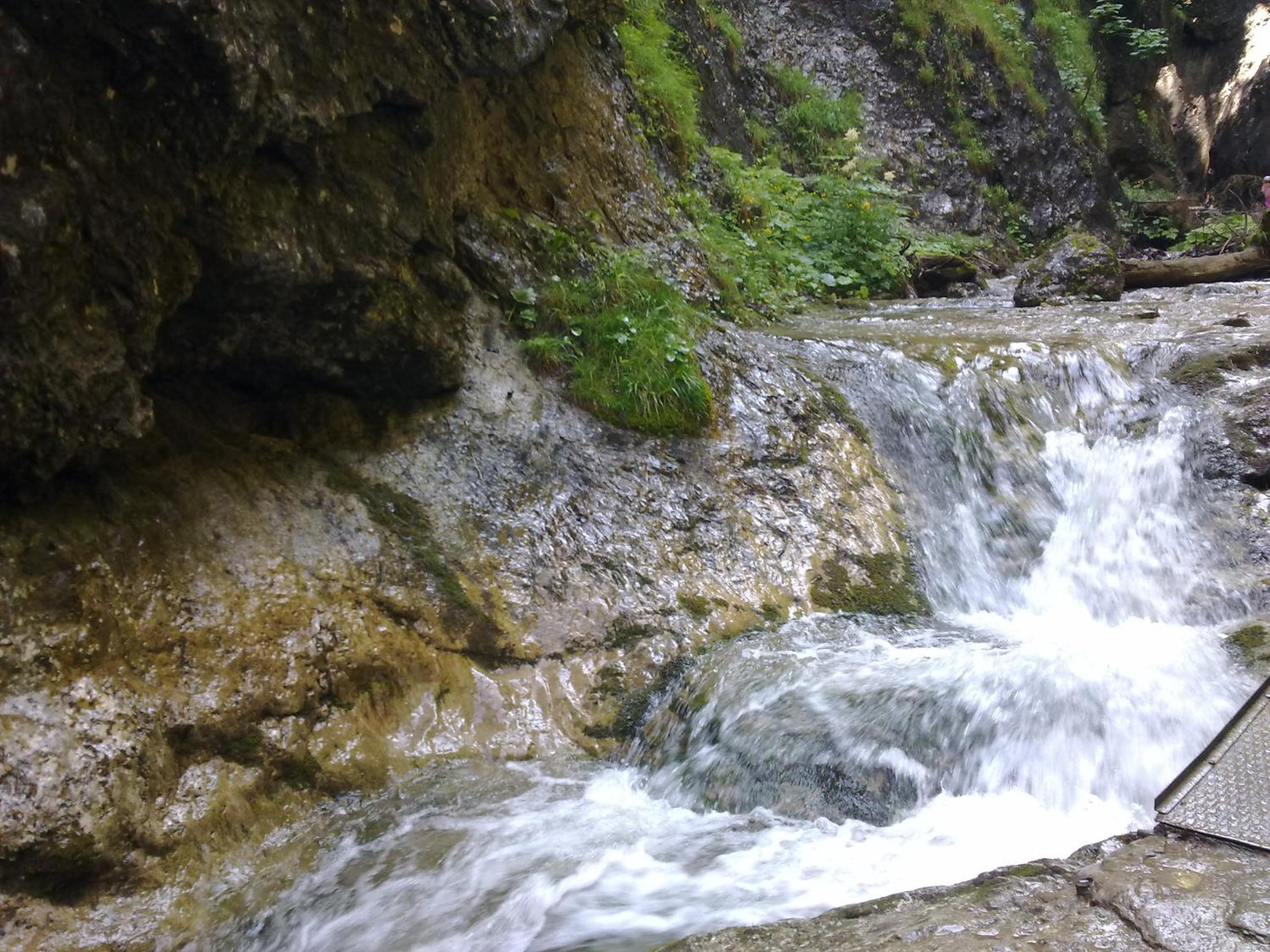 Photo 27