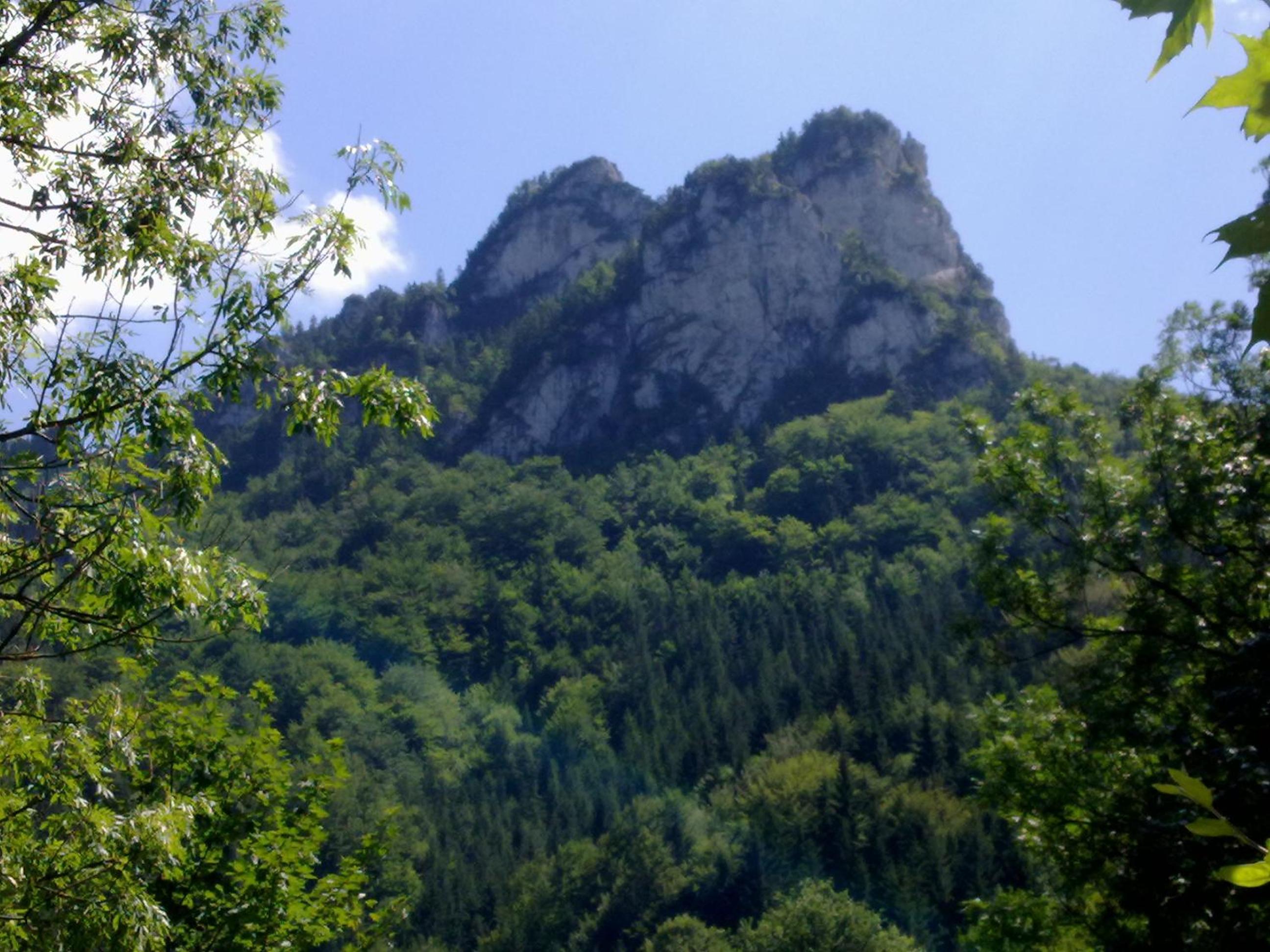 Photo 29