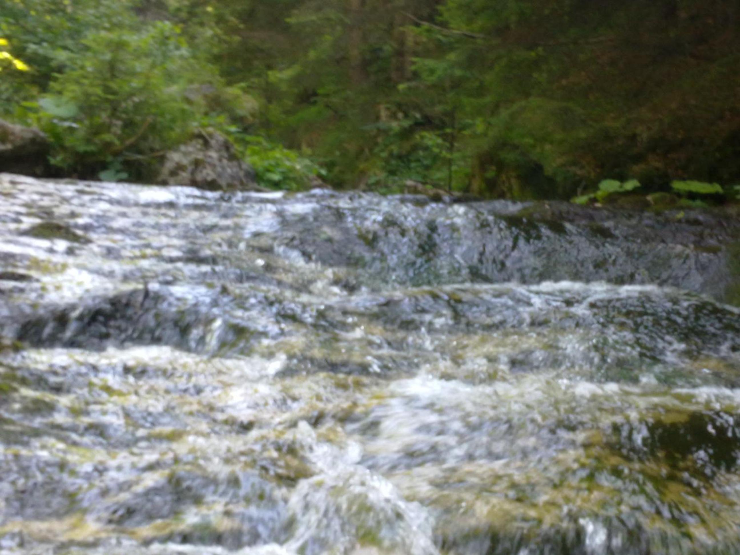 Photo 30