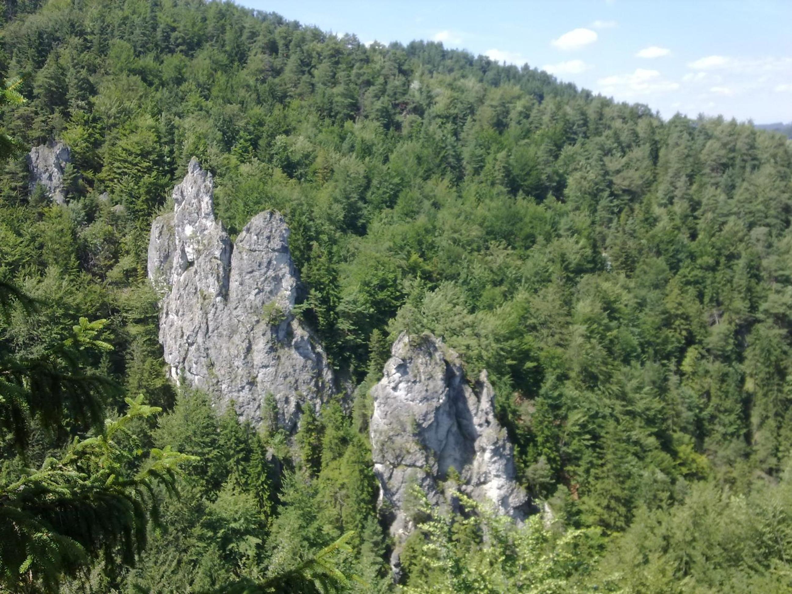 Photo 31