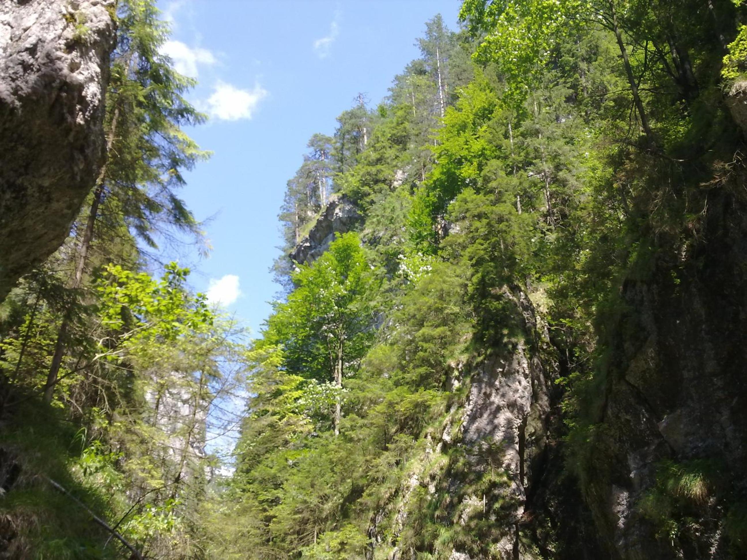 Photo 32