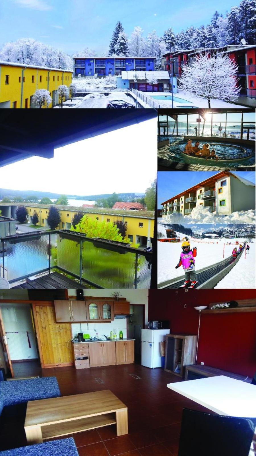 Apartmán v arealu Doky Lipno