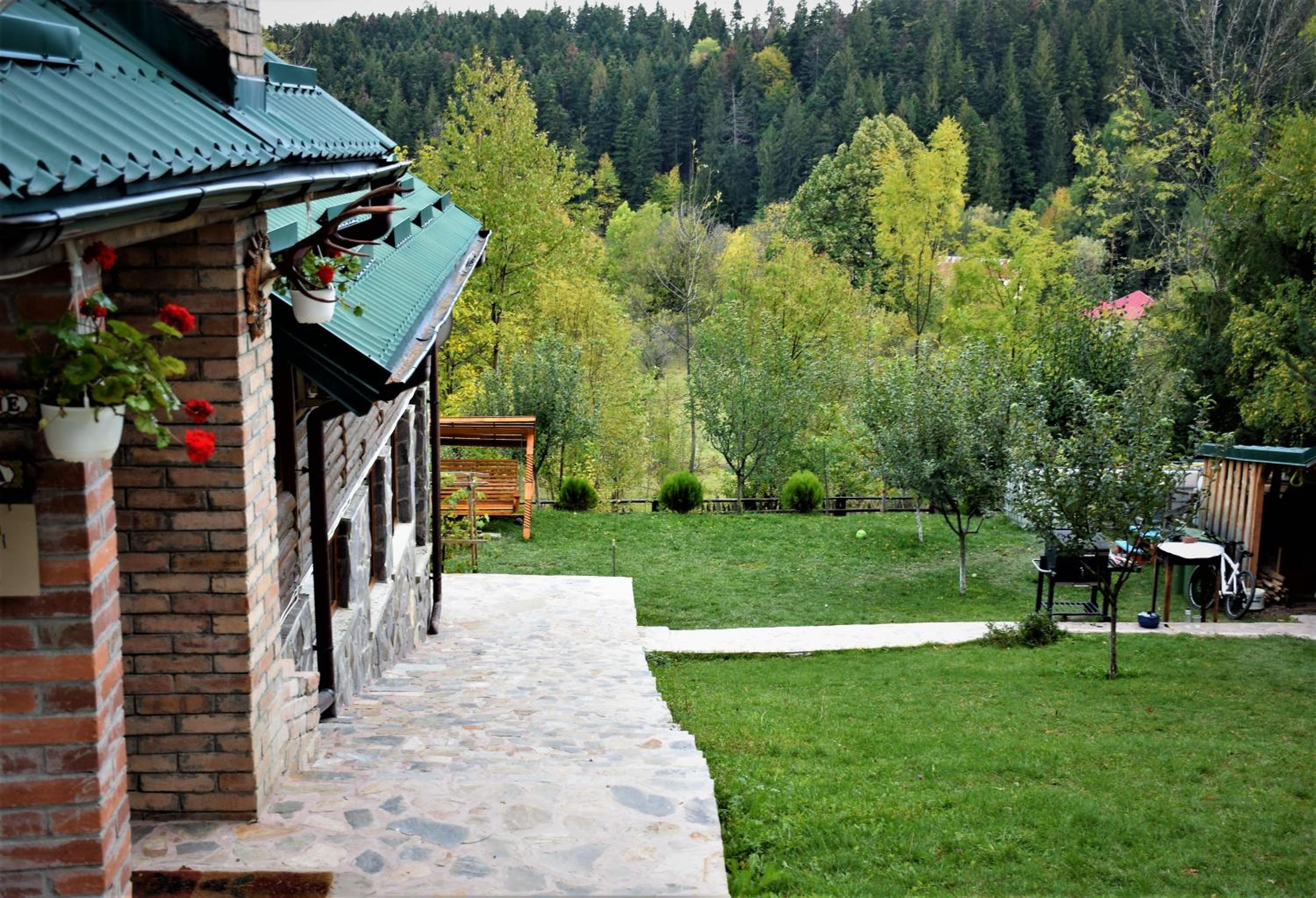 Photo 11