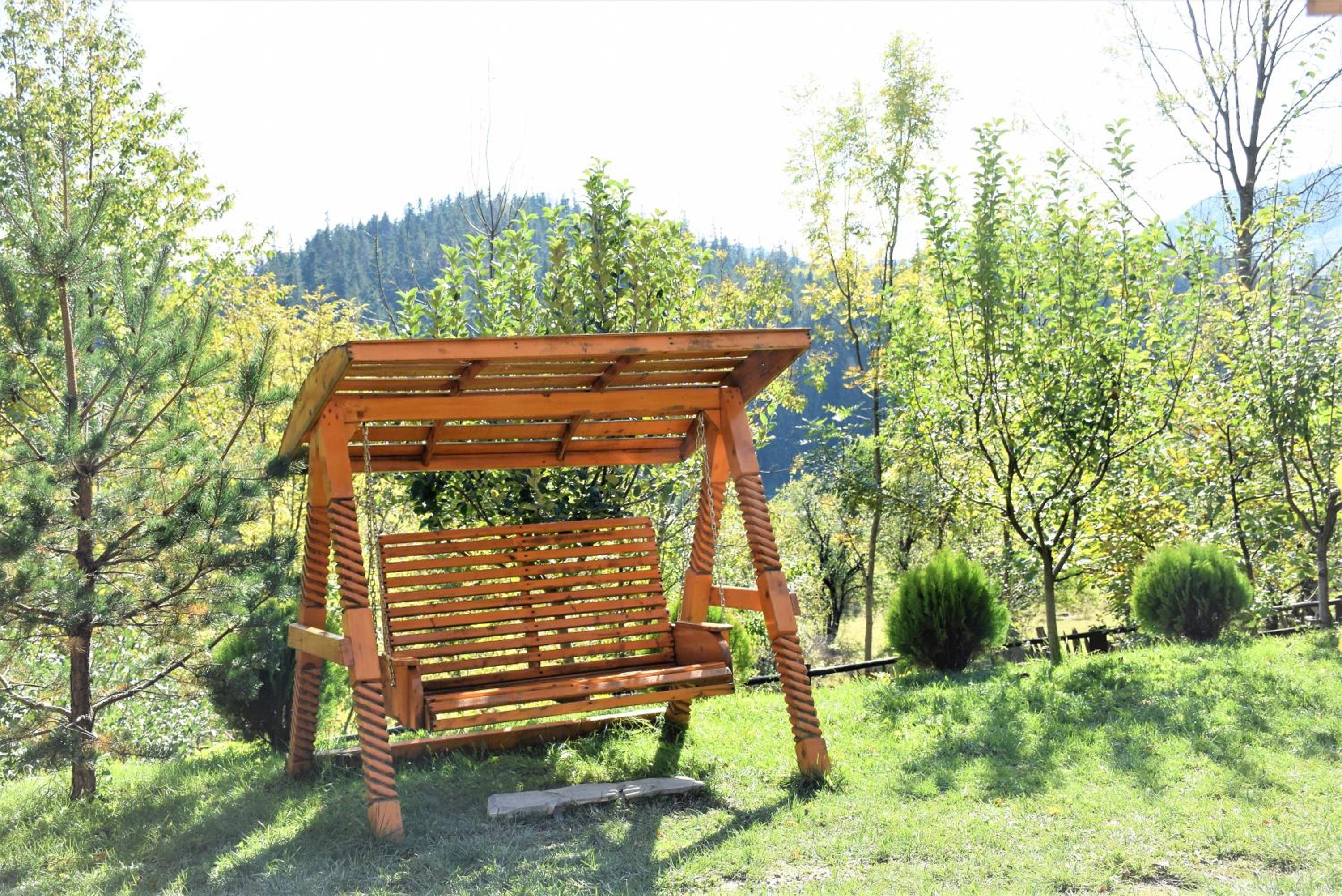 Photo 20