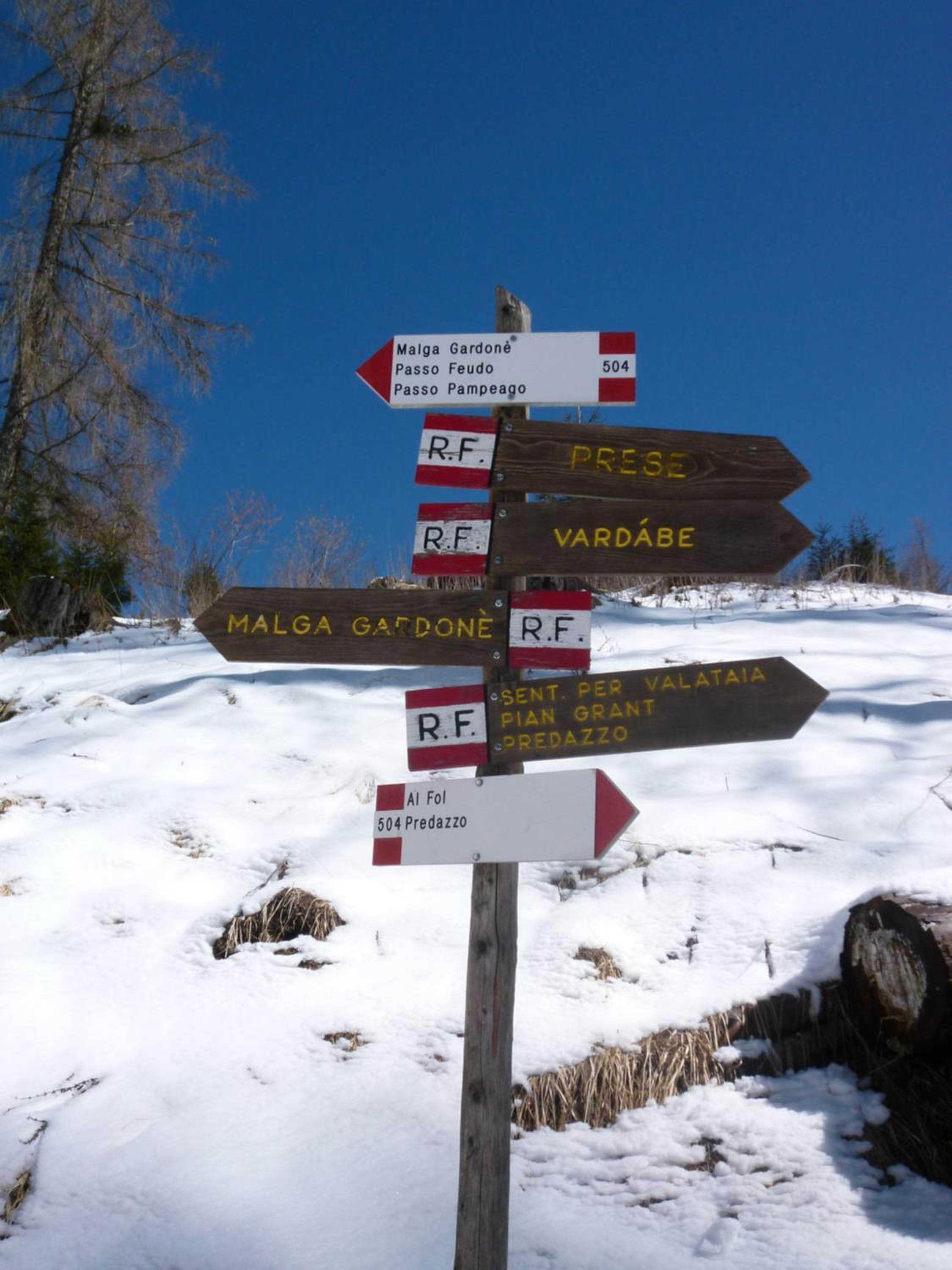 Photo 47