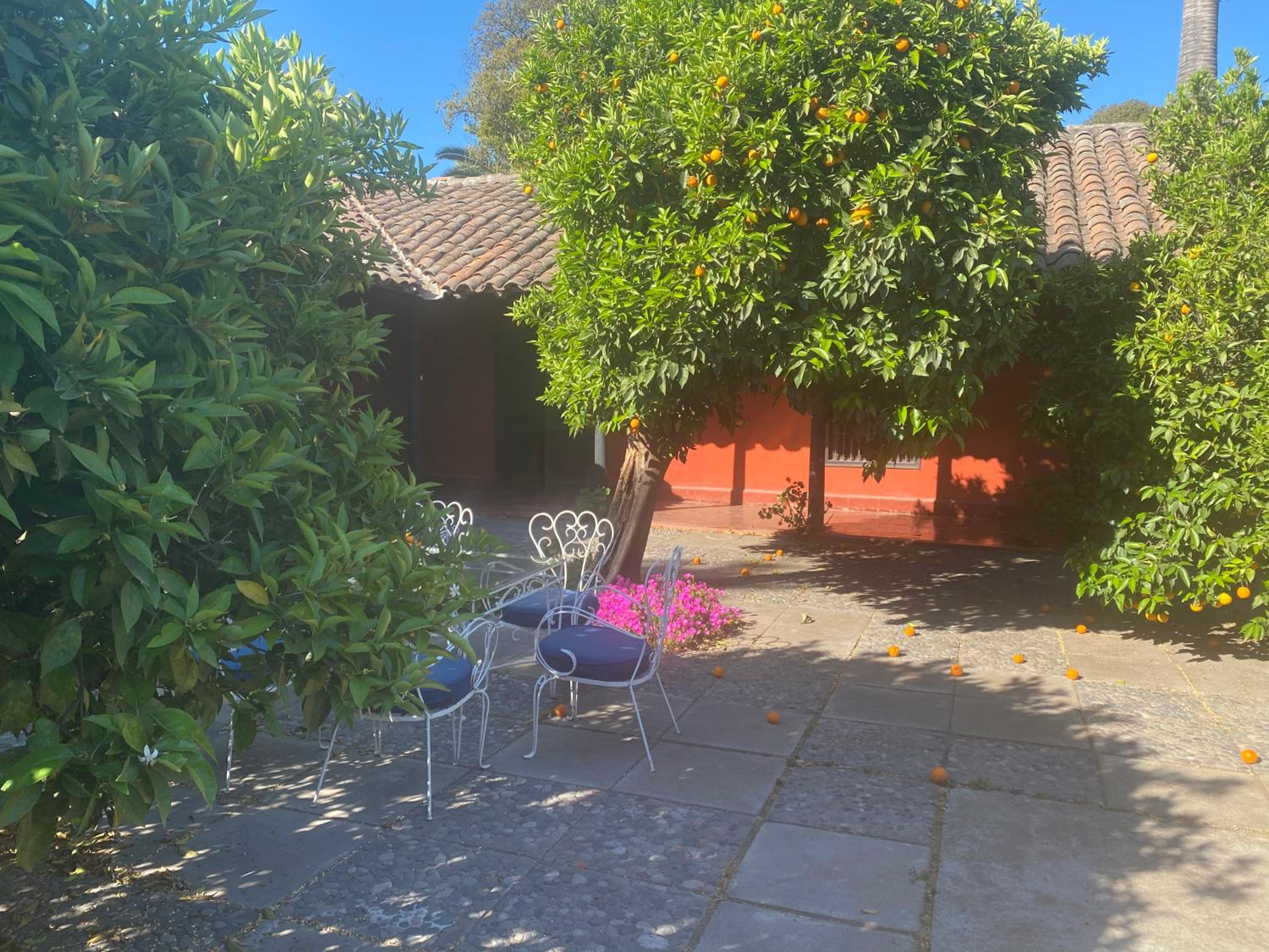 Casona Lo Aguirre , Hospedaje de Temporada Cálidas