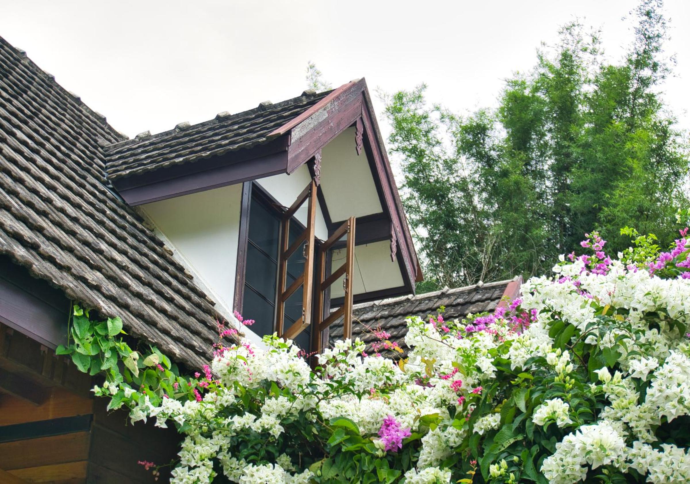 Cozycomo Chiang Dao - Wiang Mek view 4