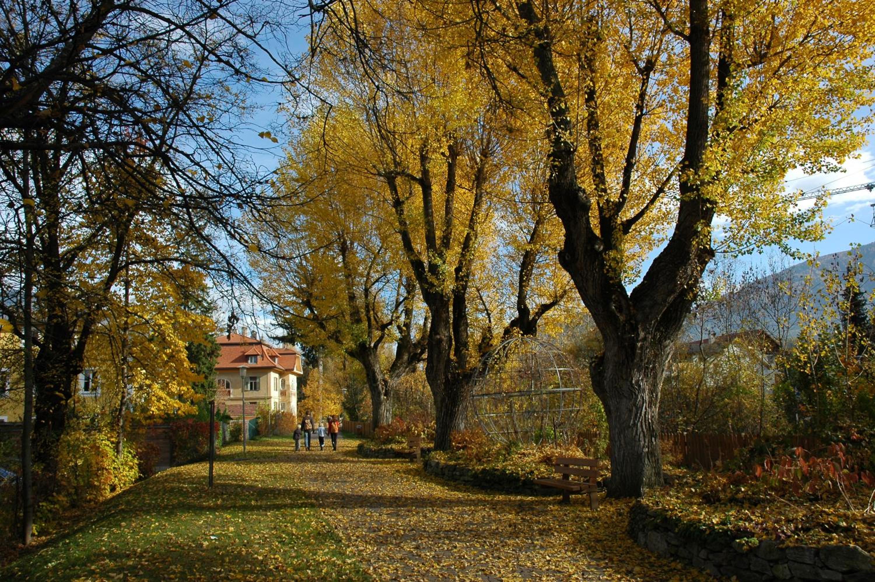 Photo 37