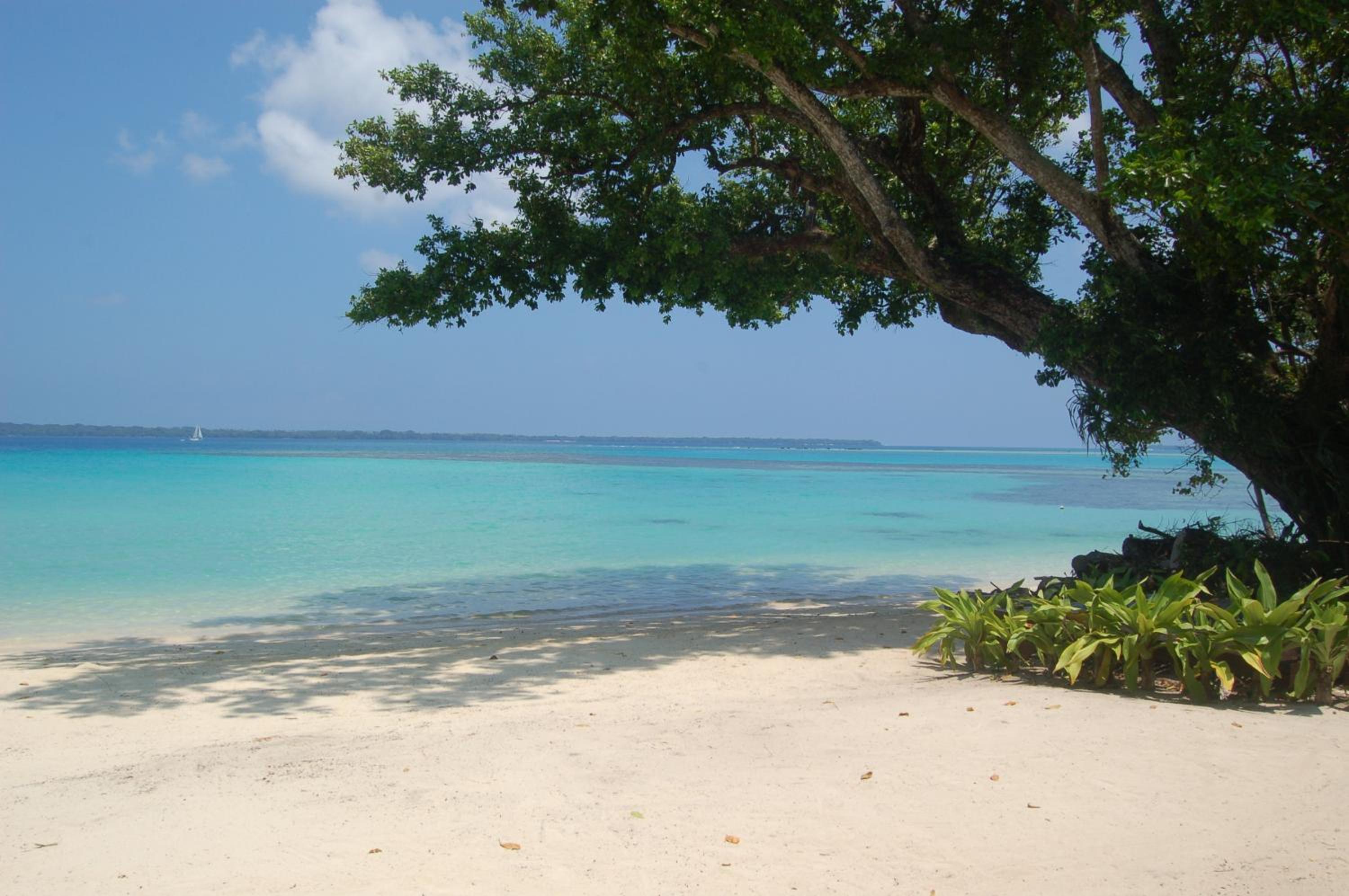 Barrier Beach Resort