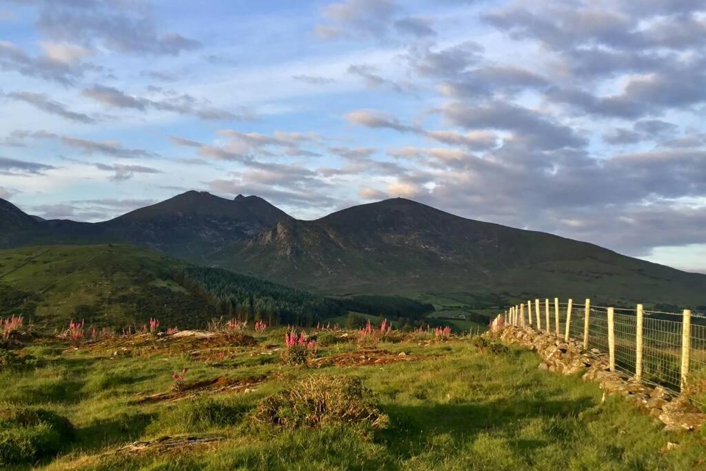Tollymore Luxury Log Cabin view 5