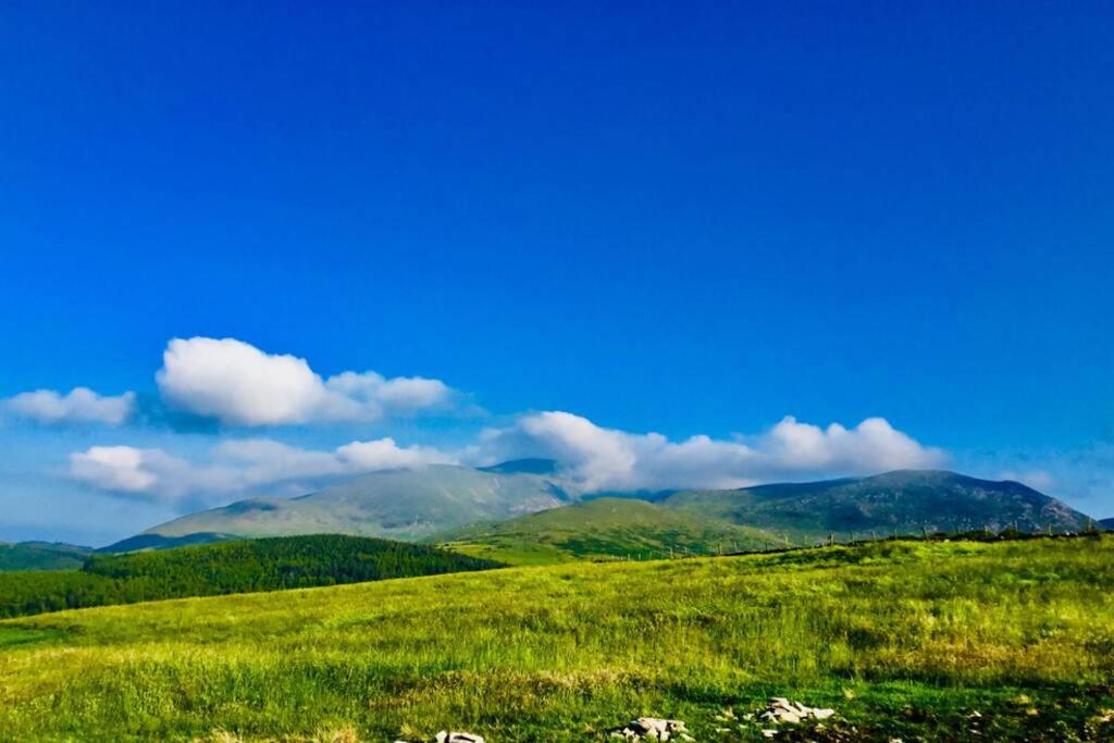 Tollymore Luxury Log Cabin view 2