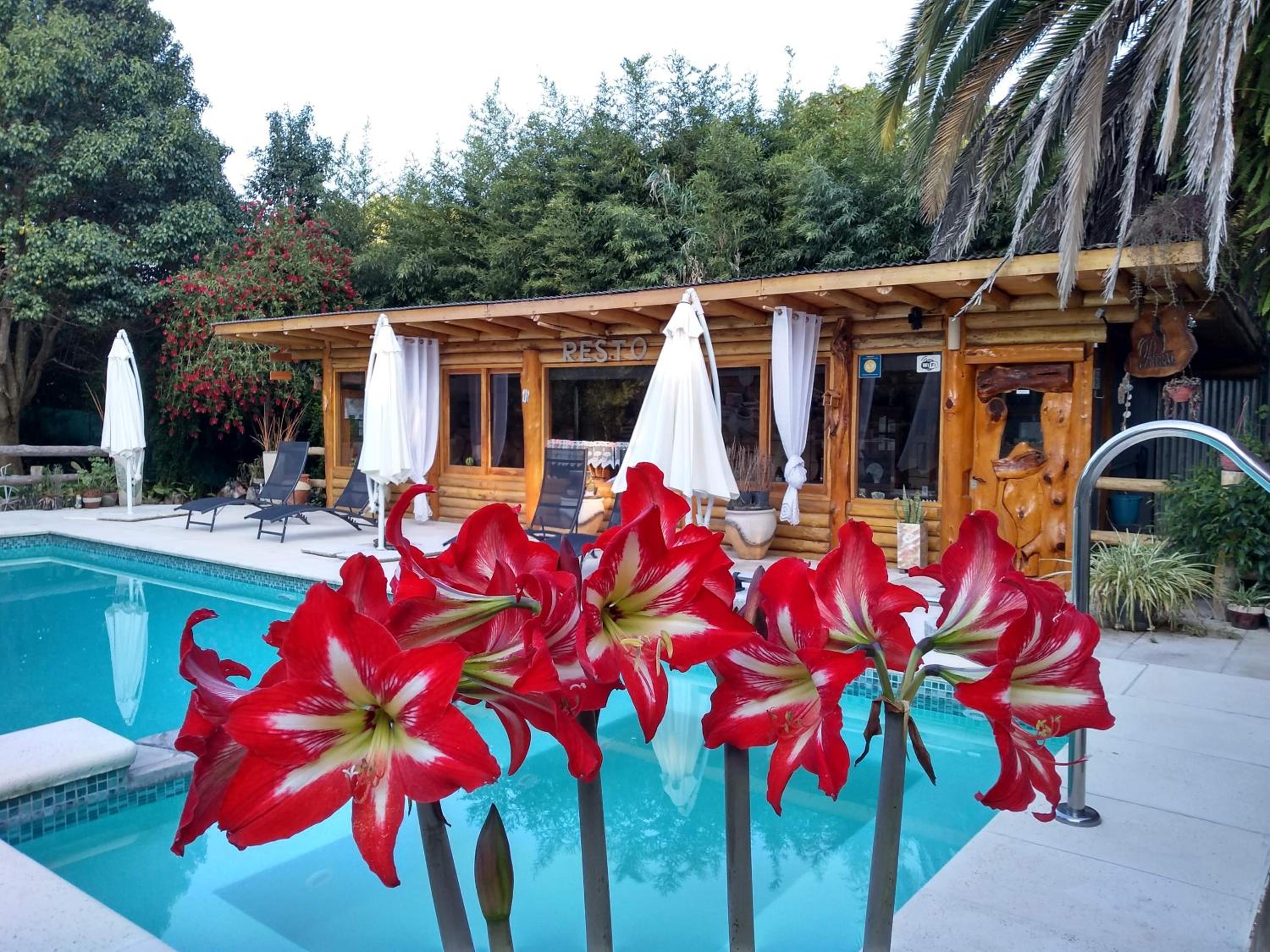 Pualy Resort & Spa
