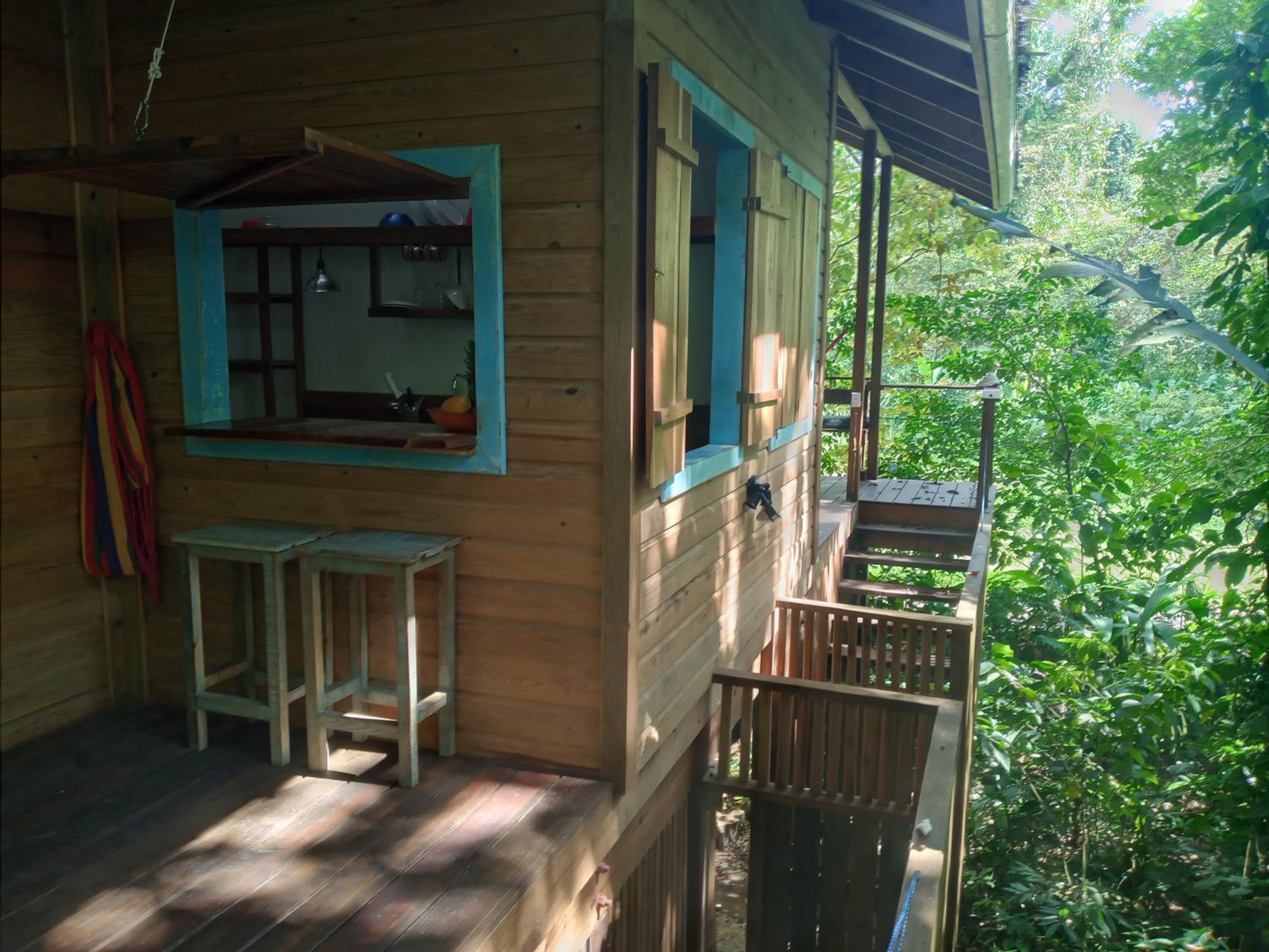 Jungle Paunch view 3