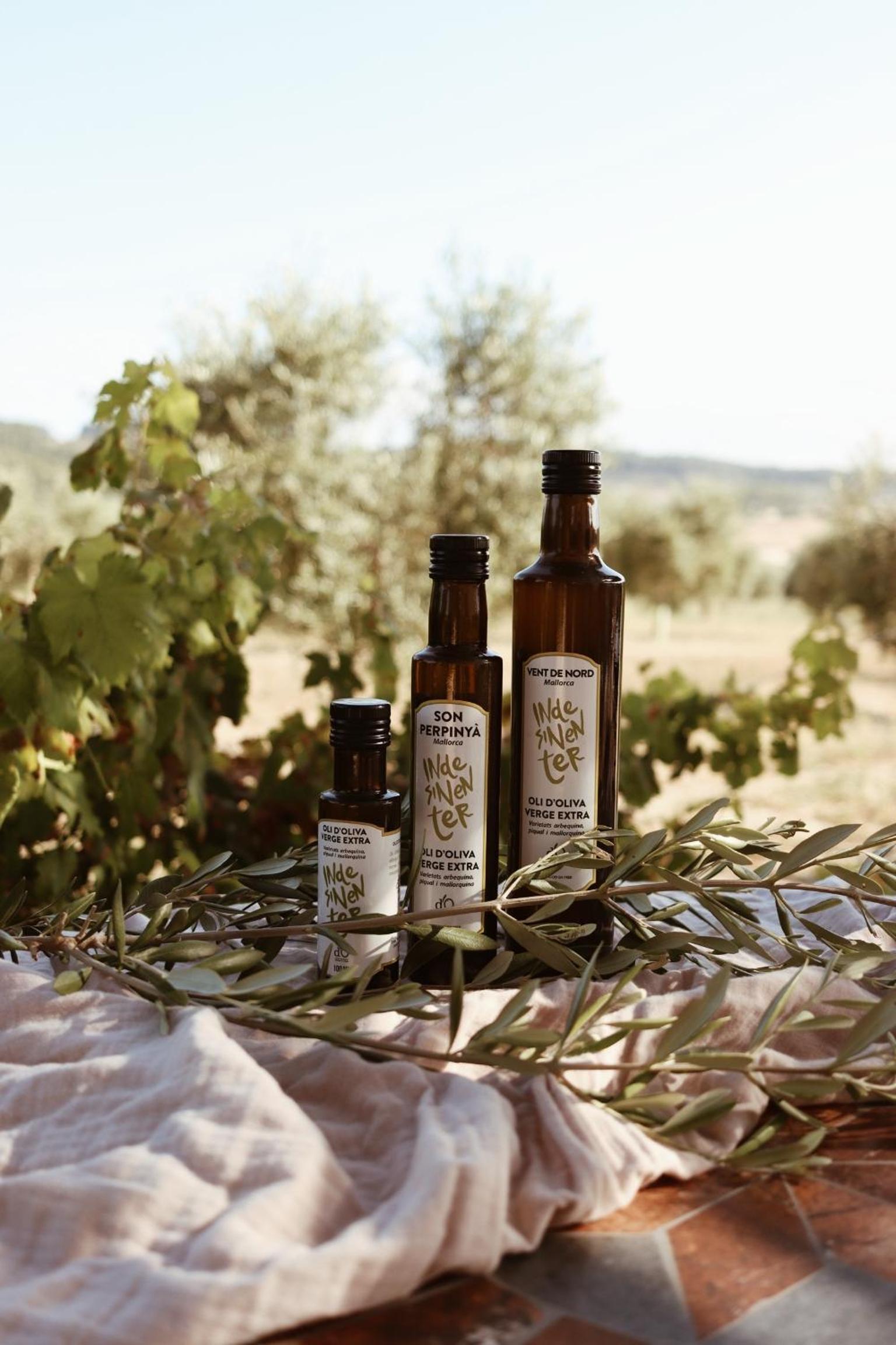 Agroturisme Gossalba