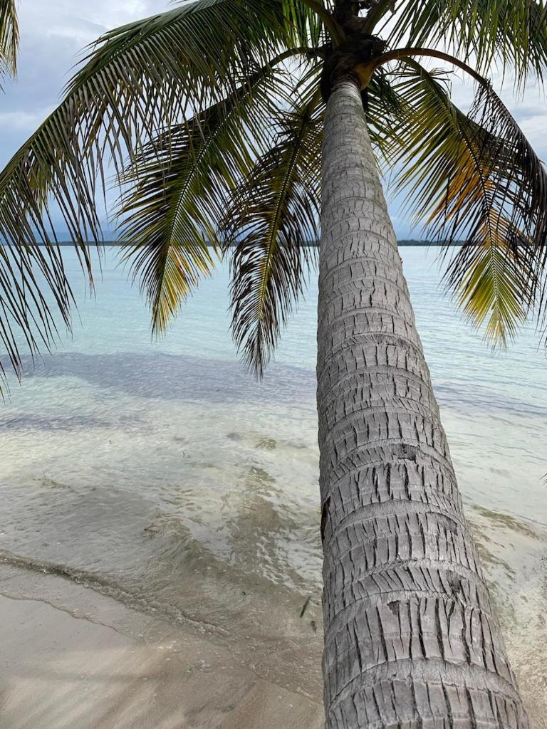 Sand Dollar Beach Bed & Breakfast
