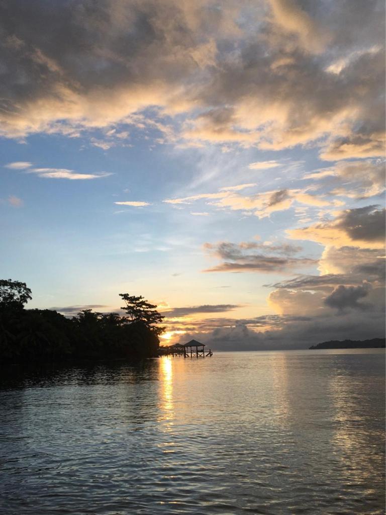 Sand Dollar Beach Bed & Breakfast