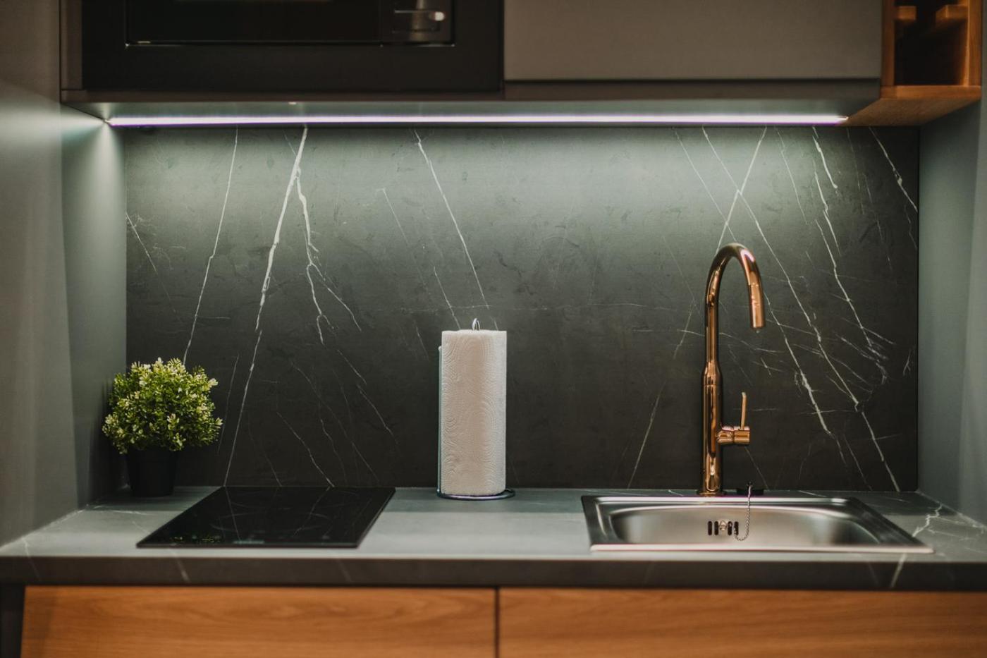 Zeus Design Apartments Prater