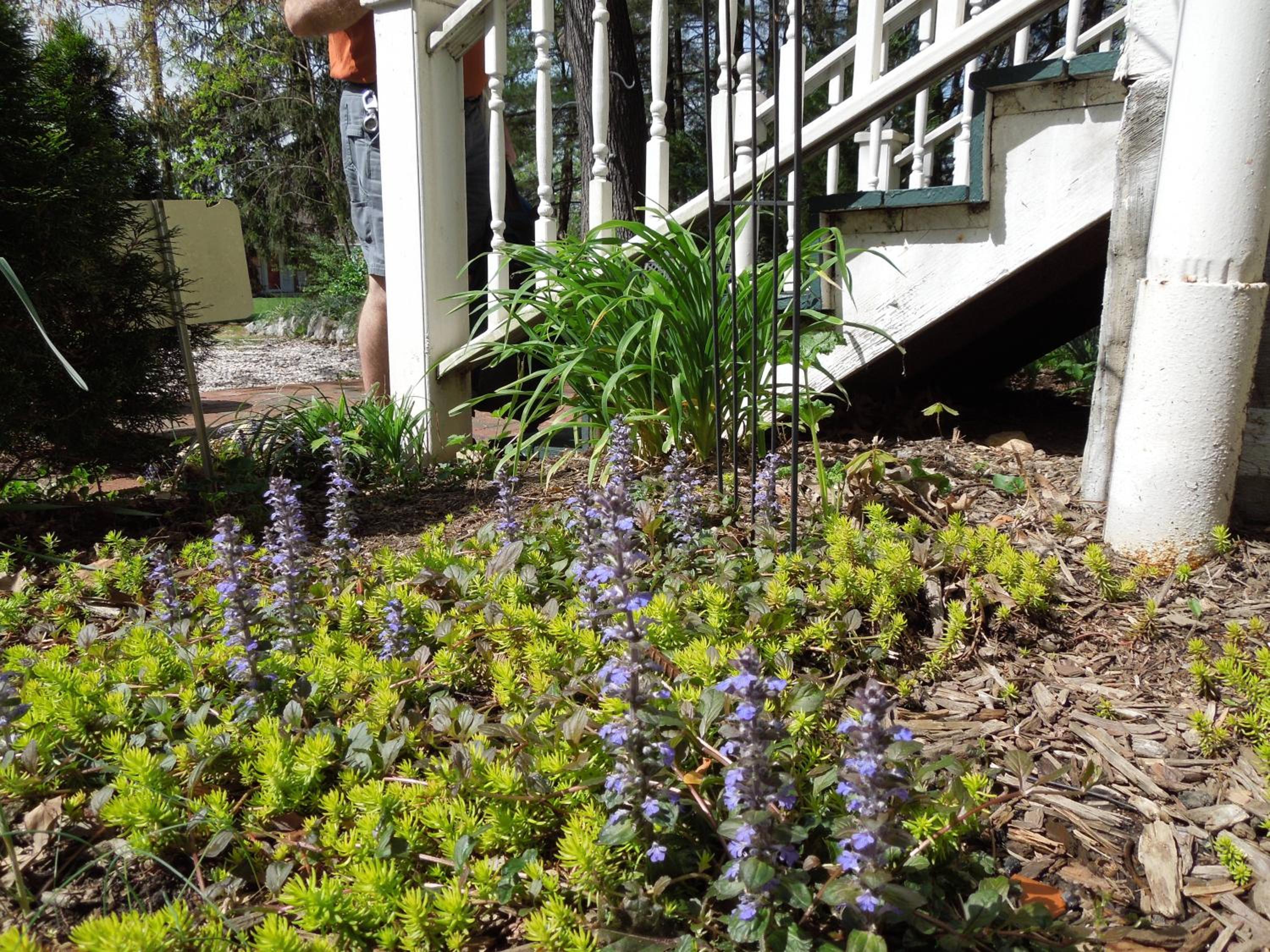 Oakland Cottage Bed and Breakfast