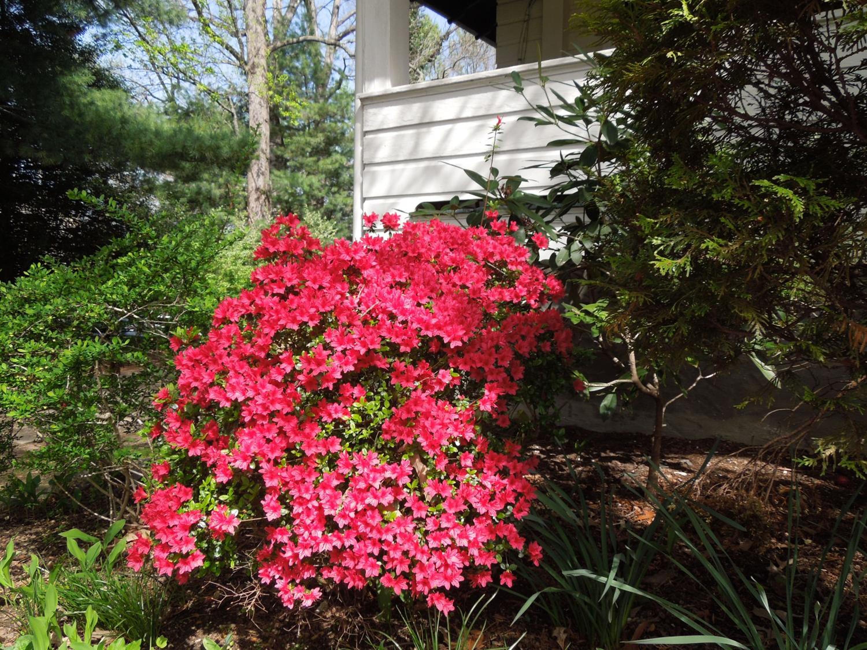Oakland Cottage Bed and Breakfast