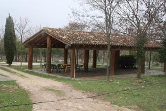 Photo 21