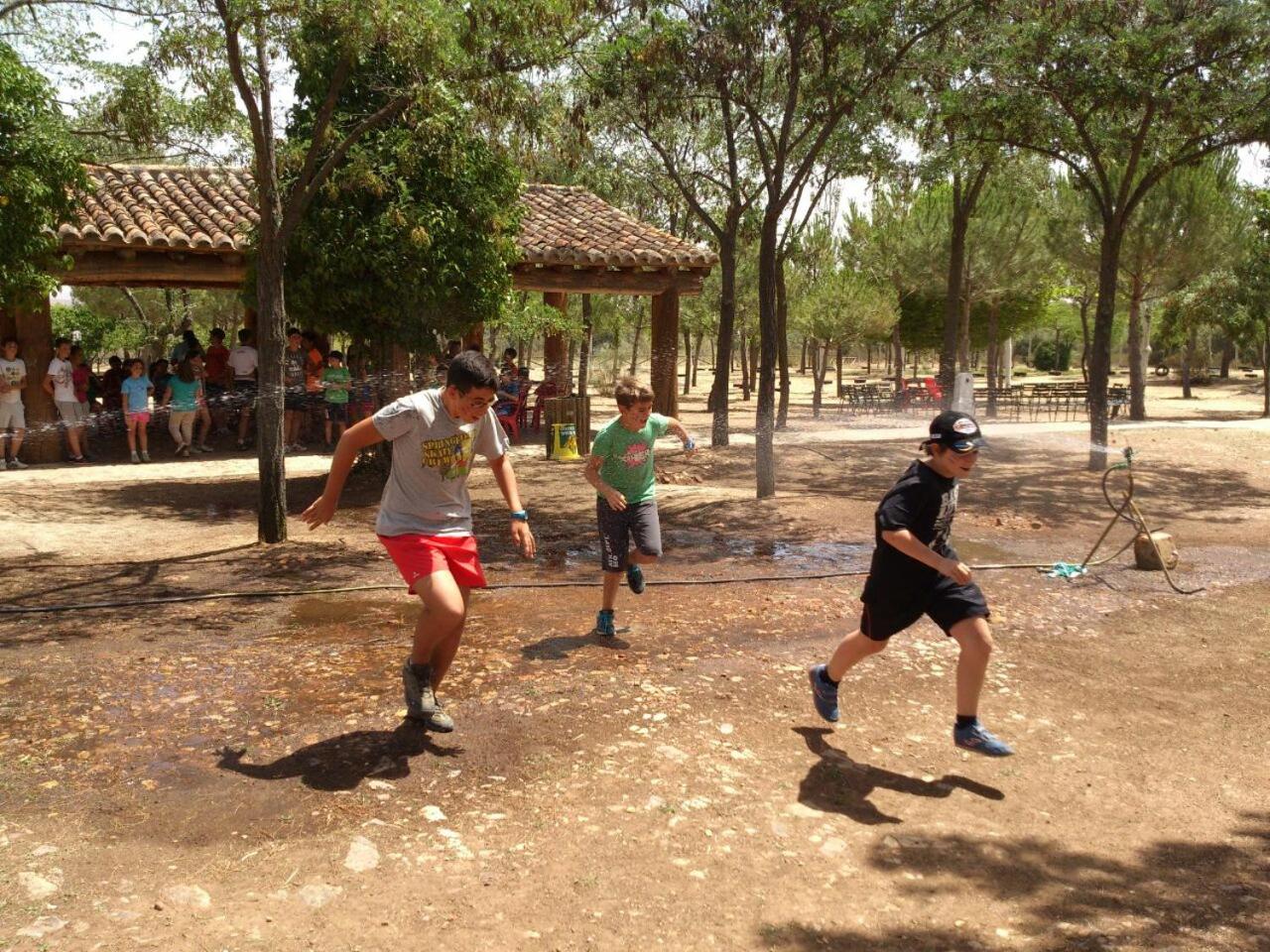 Photo 22