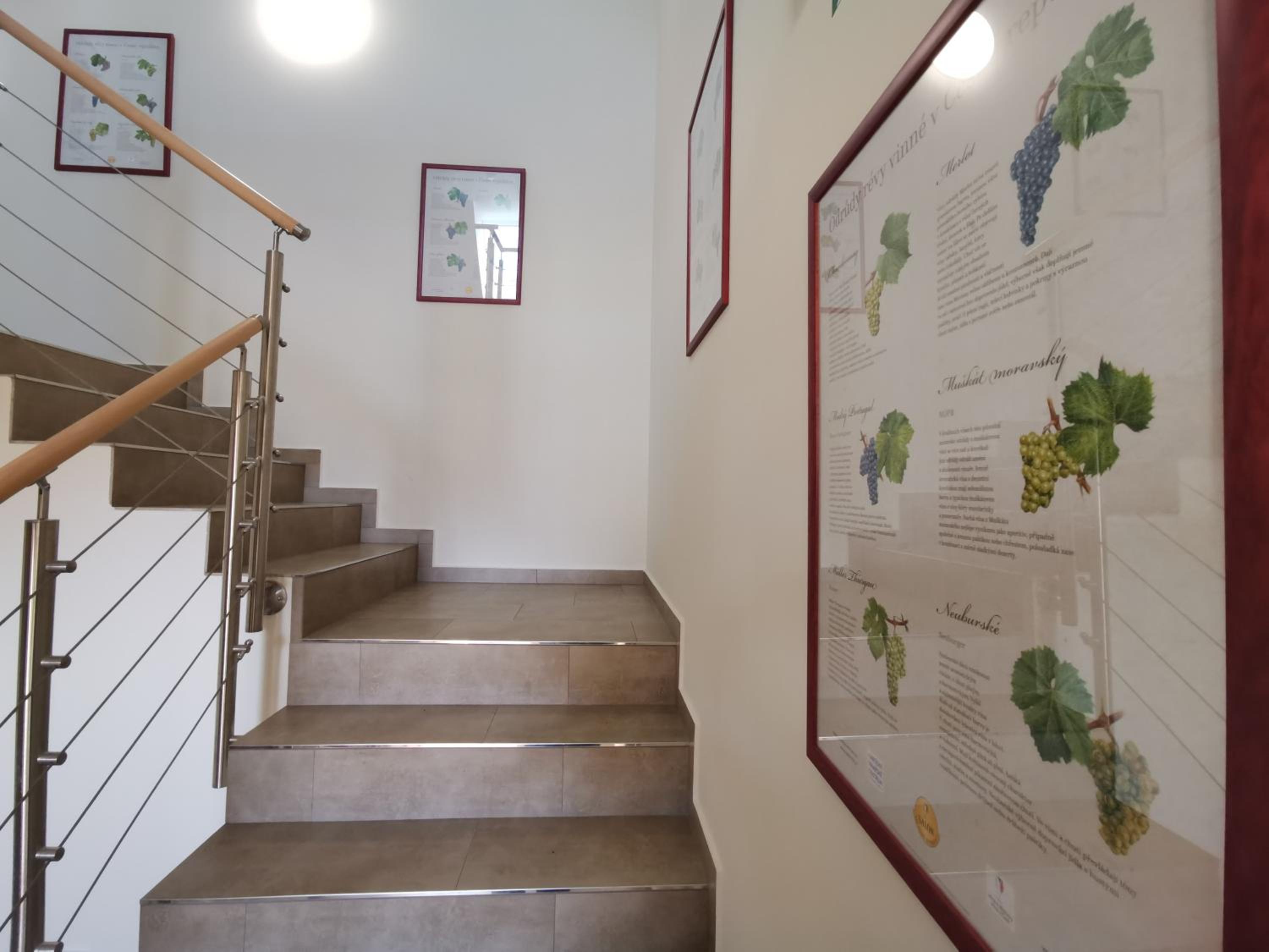 Comenius Moravus vinařský dvůr