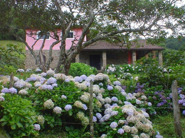 Sitio na Serra da Mantiqueira Águas do Canjarana