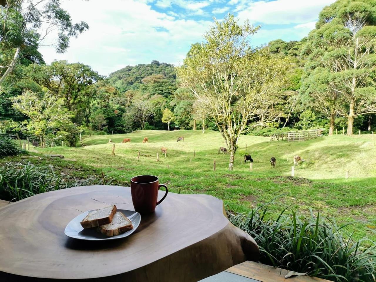 Olingo Monteverde - Stunning Home Near Adventure Parks