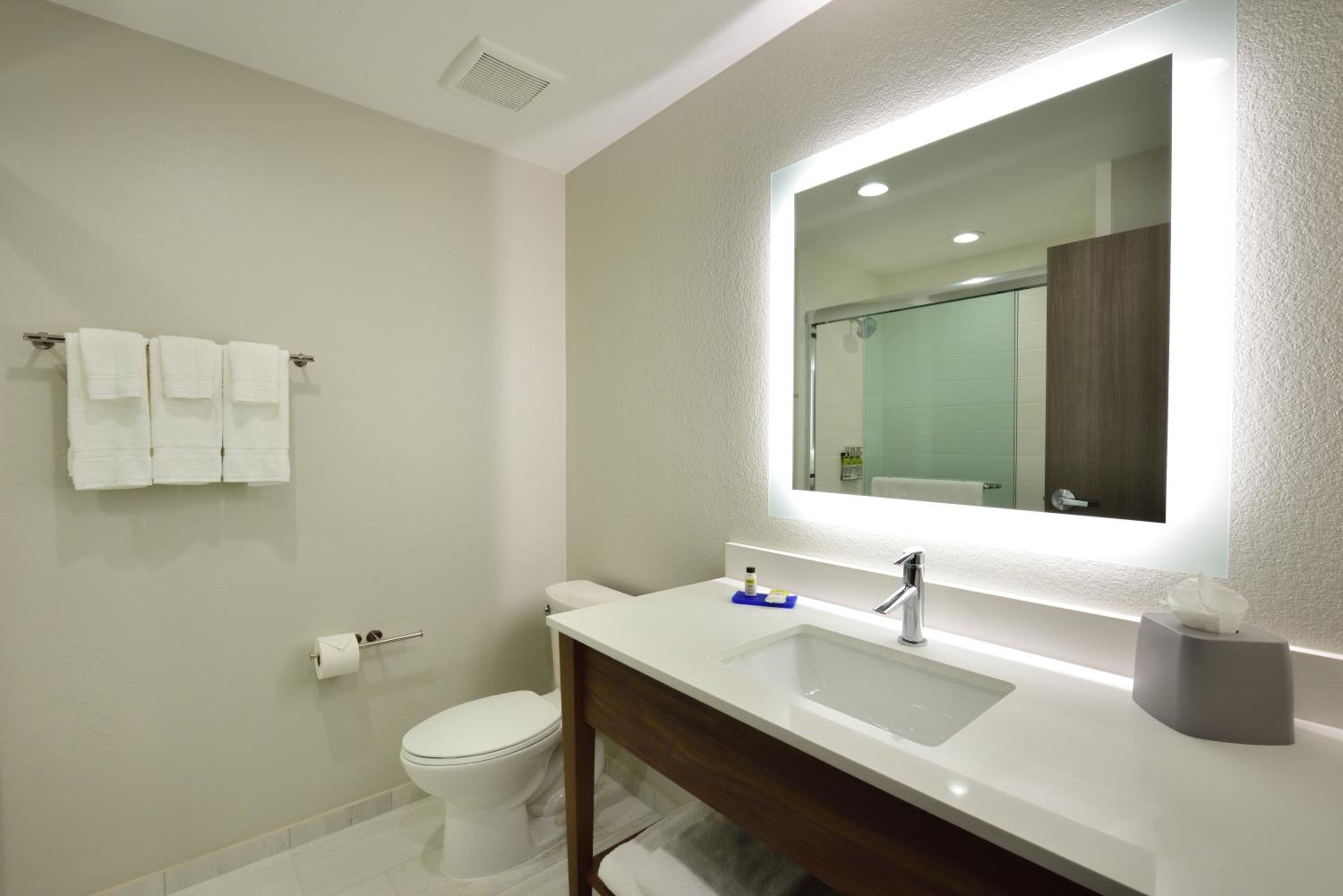 Palm Springs Vacations - Holiday Inn Express Suites Spring - Woodlands Area, an IHG Hotel - Property Image 15