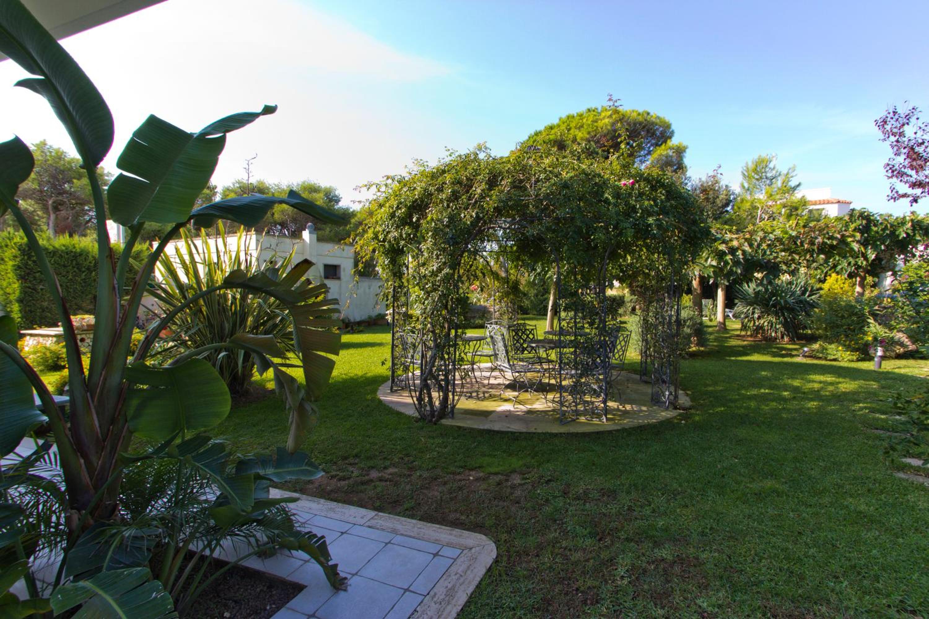 Photo 21