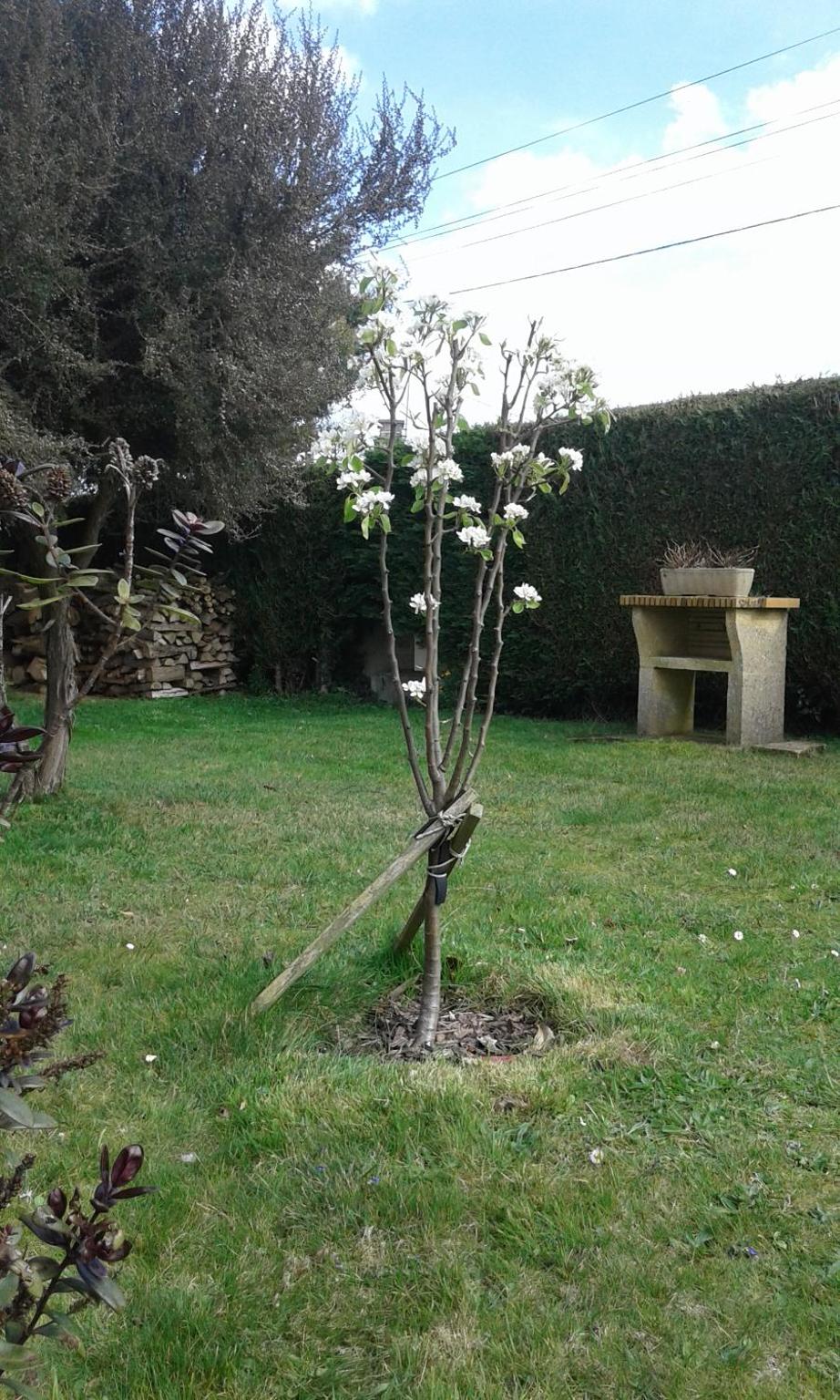 Photo 10