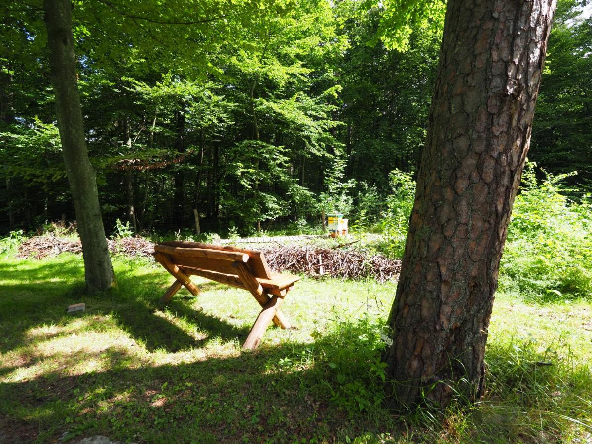 Photo 45