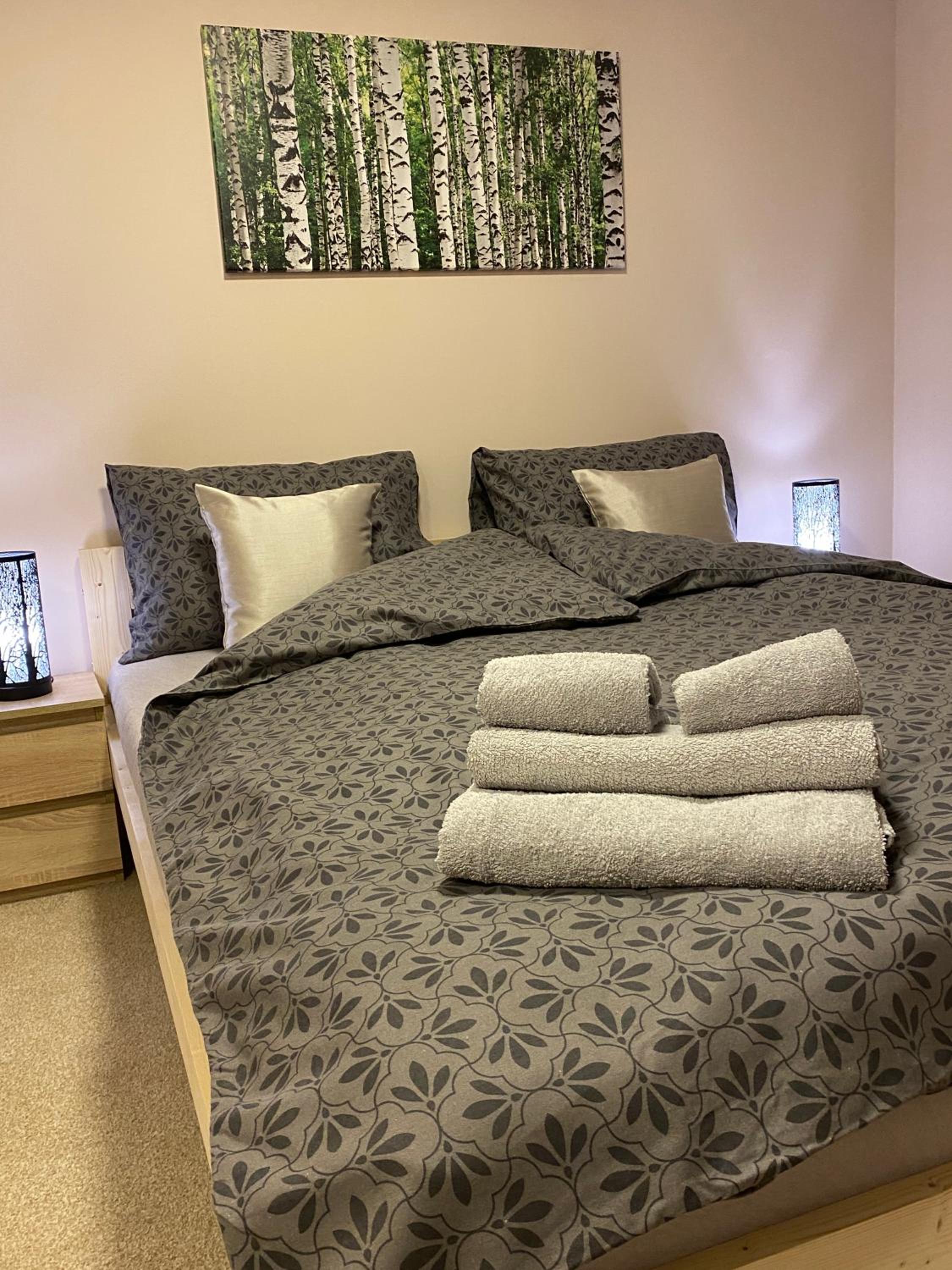 Apartamenty W Brzozowym Gaju view 2