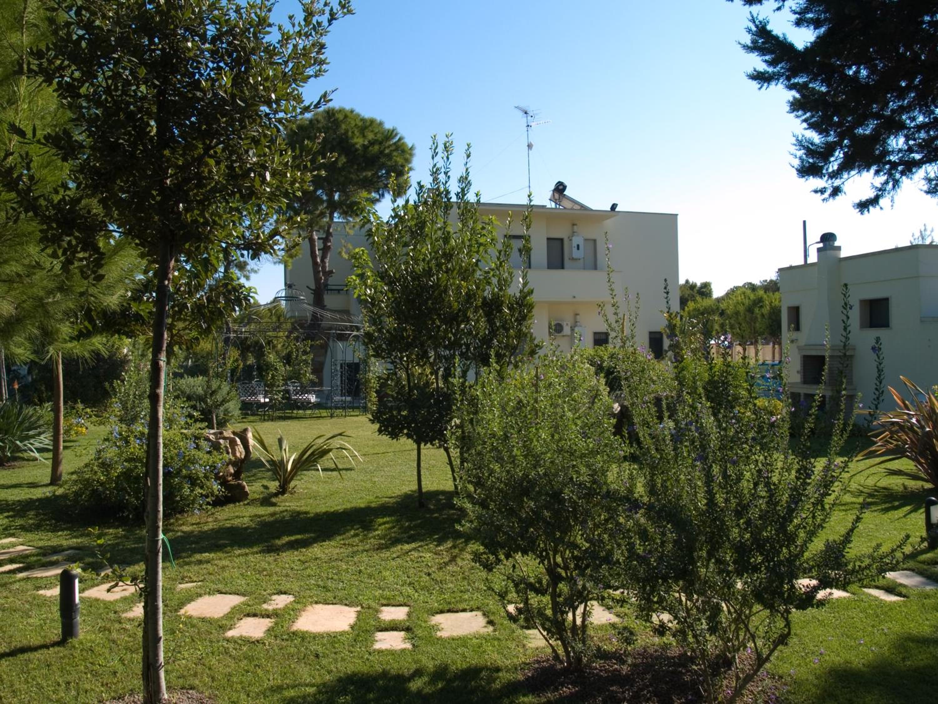 Photo 26