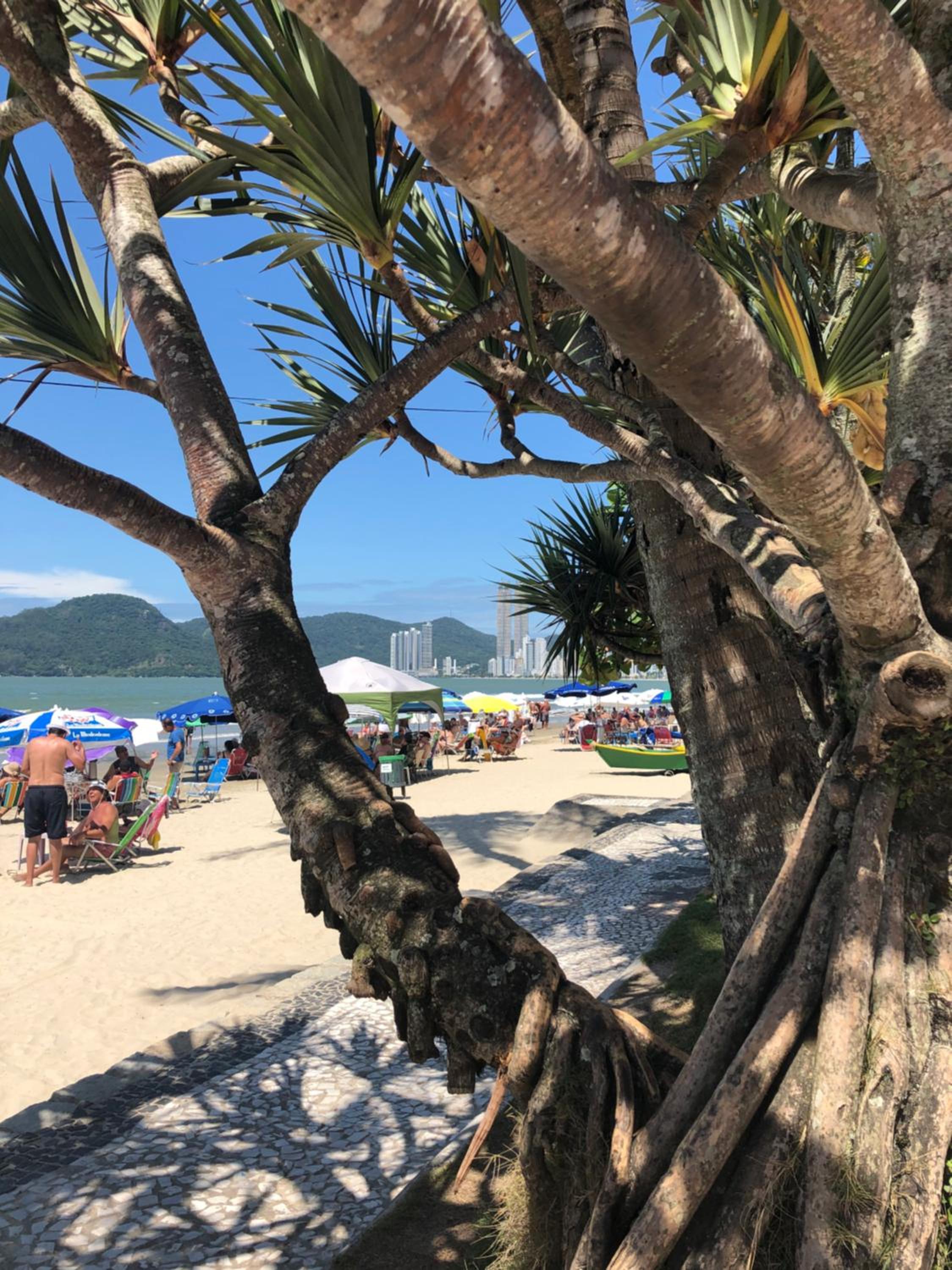 Luxo e Conforto a Beira Mar em Balneário Camboriu view 3