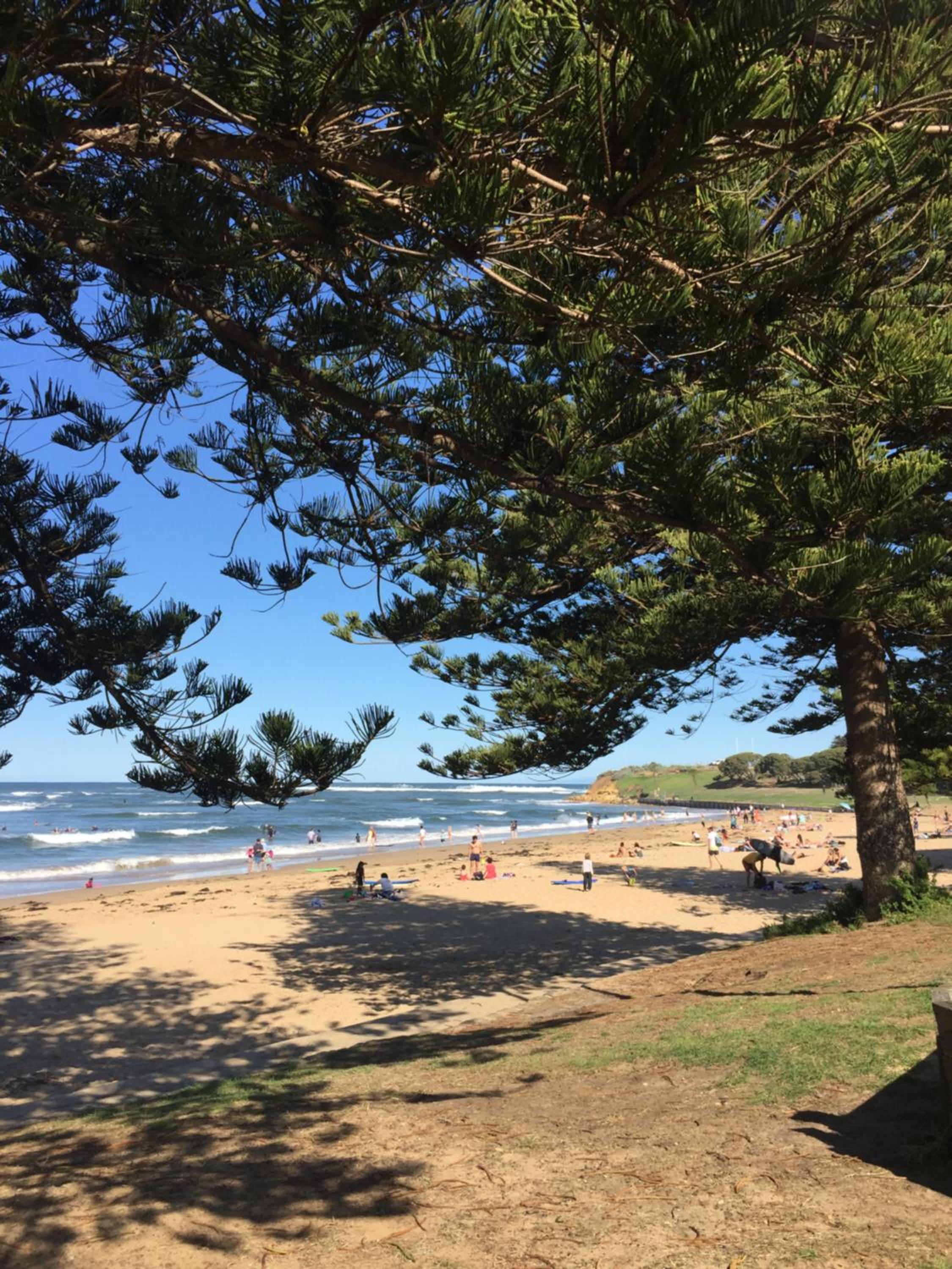 Max's Beachside Holiday Home