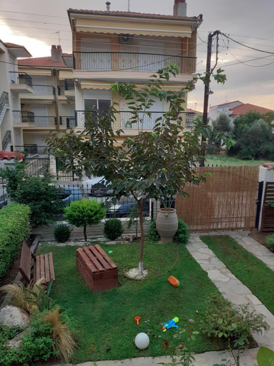 Solmar House view 2