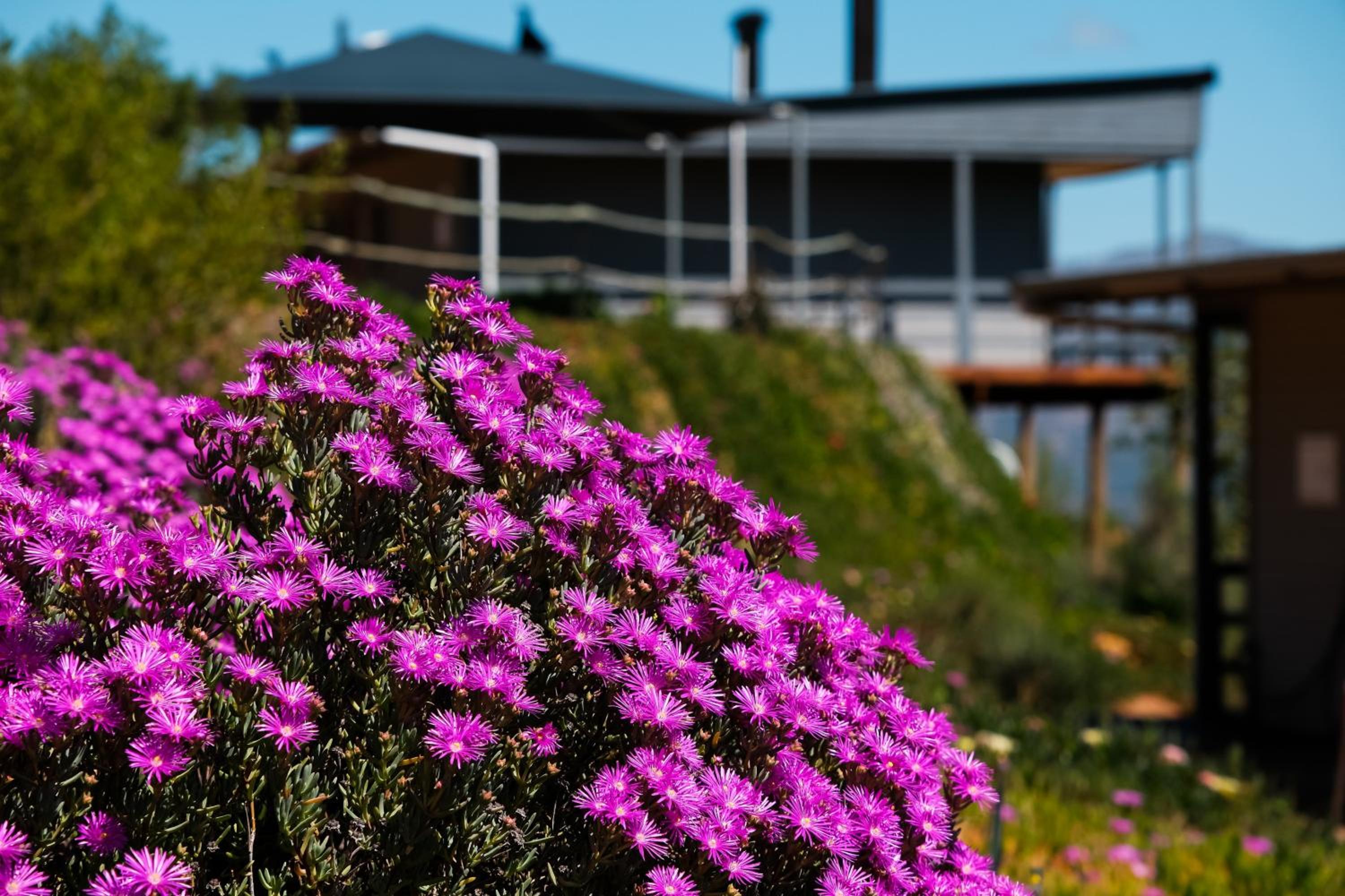 Big Sky Cottages