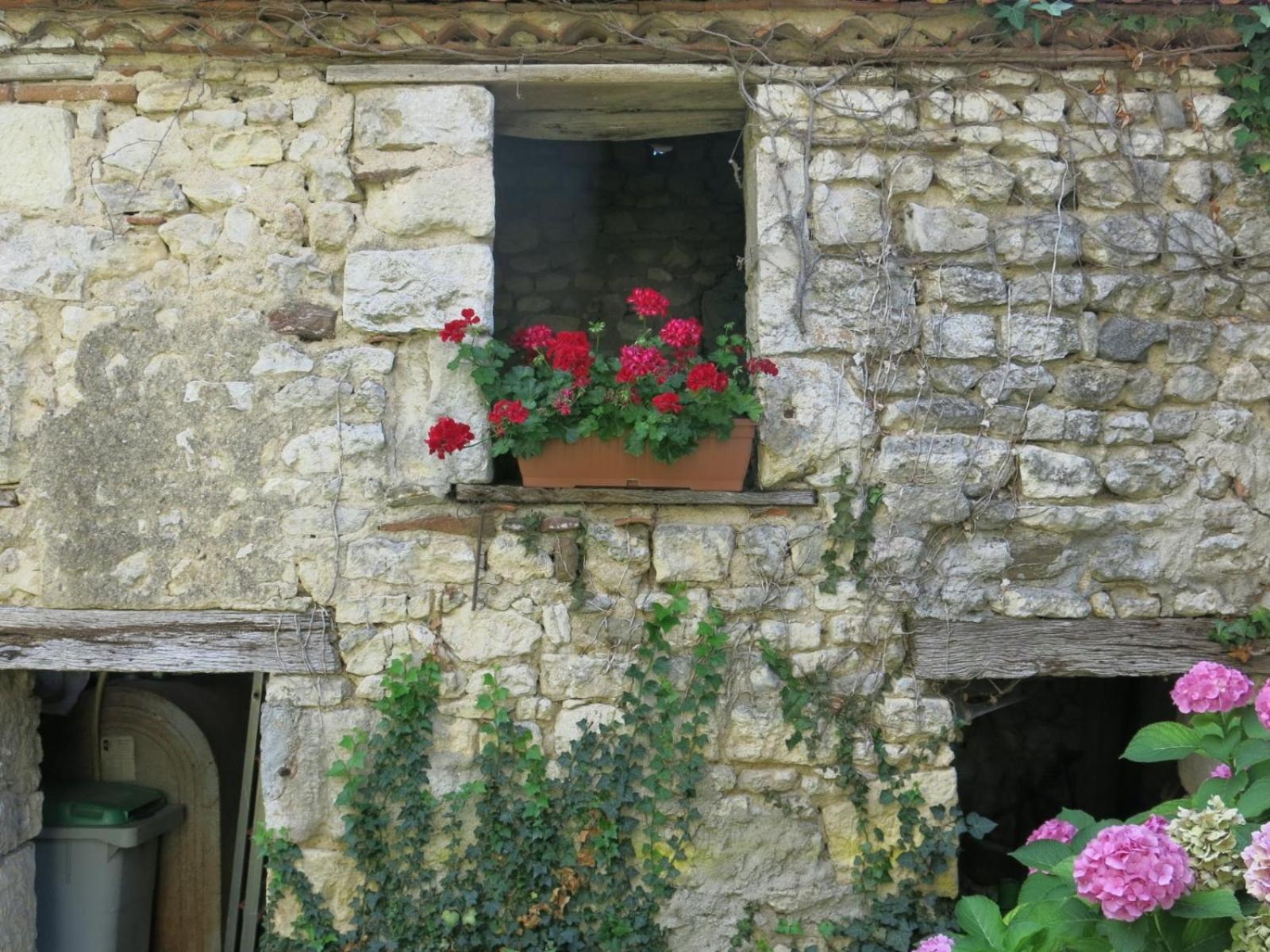 Photo 8