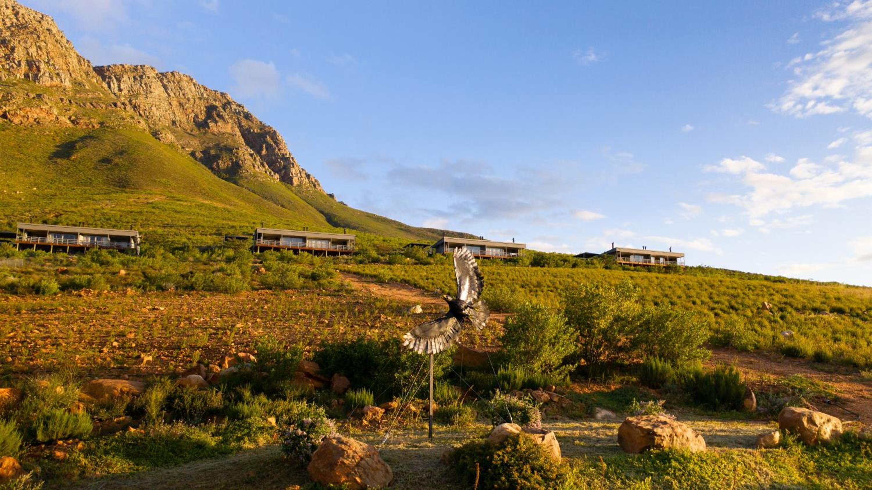 Big Sky Cottages