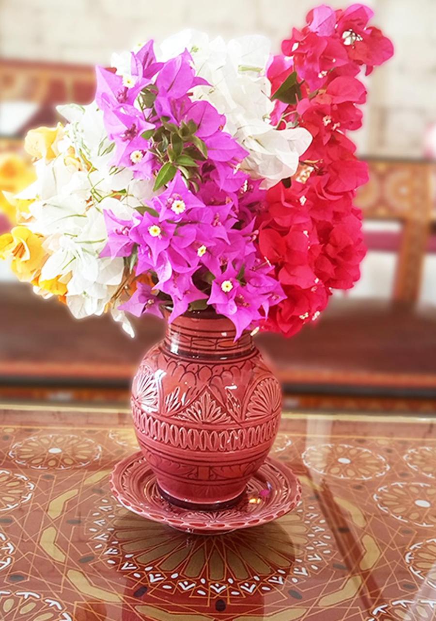 Villa Kamilia Essaouira — photo 90