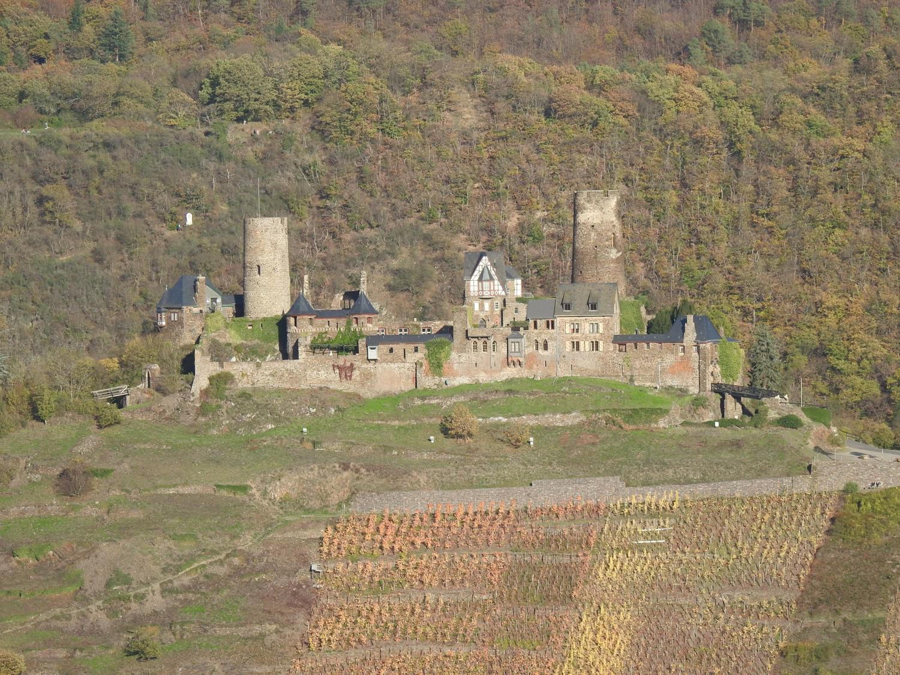 Photo 15