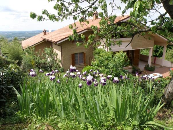 Villa Ca' dell'Olmo