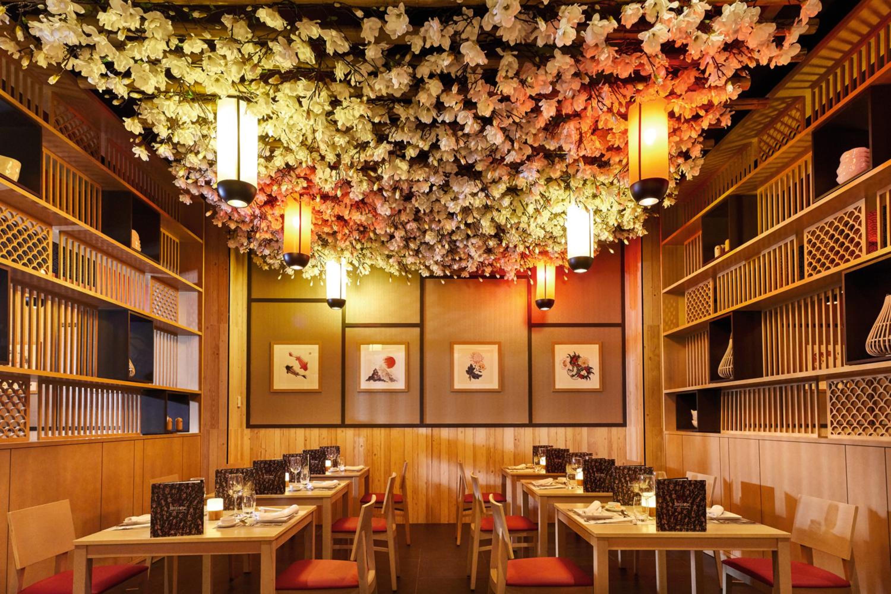 Los Cabos Vacations - Riu Palace Baja California - Adults Only - All Inclusive - Property Image 59